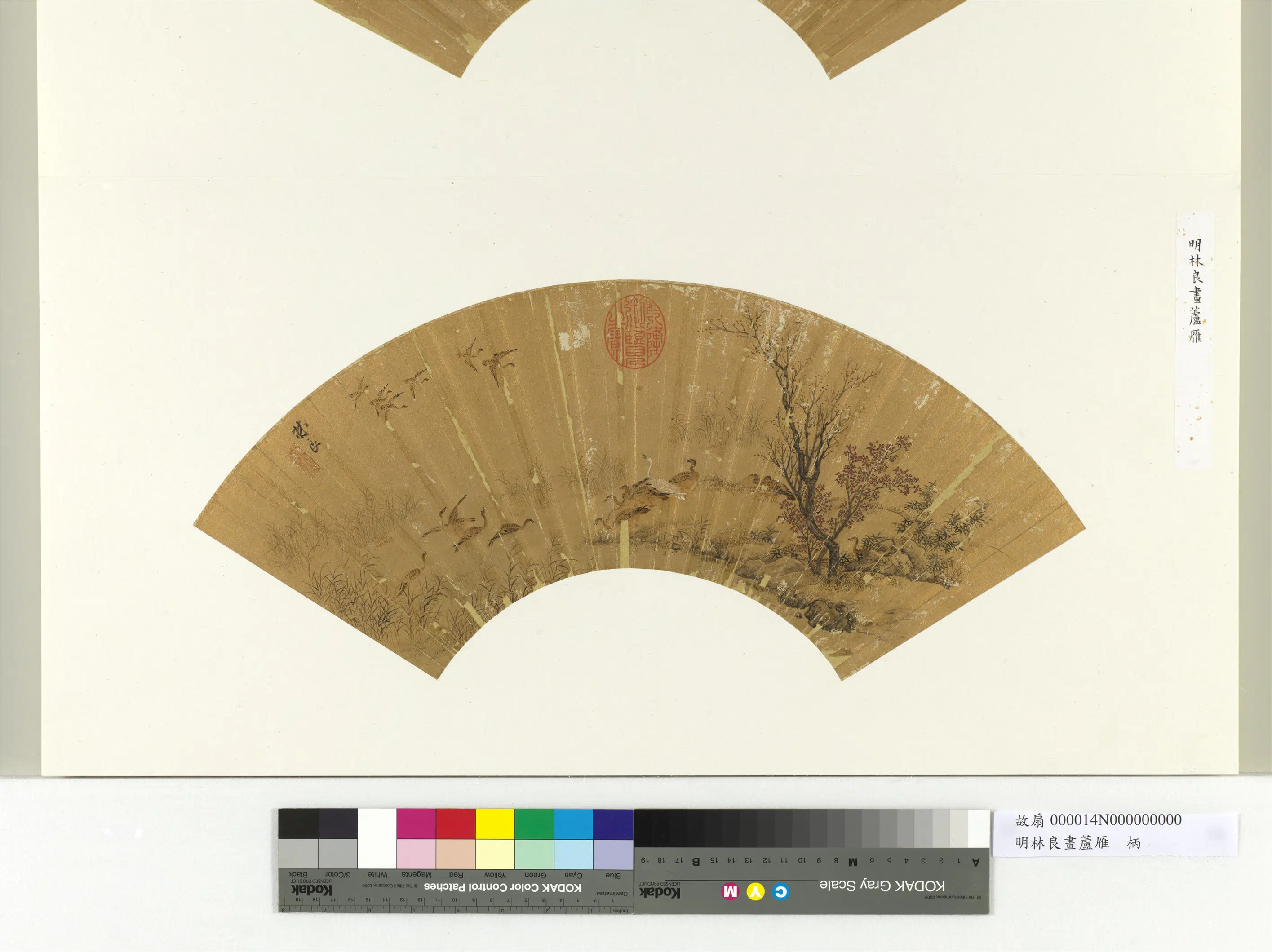 明代【林良】《画芦雁册页》