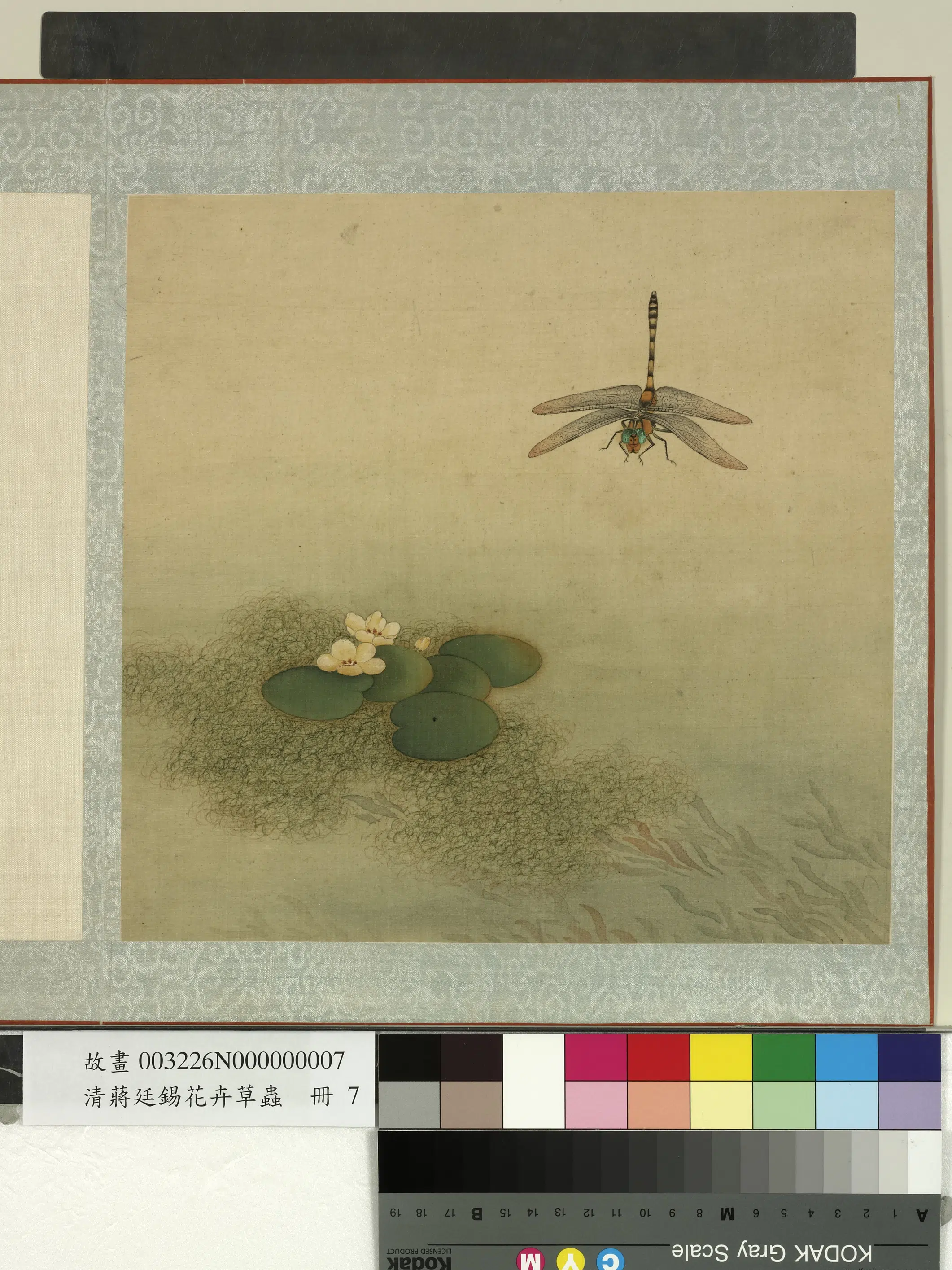 清代【蒋廷锡】《花卉草虫册》 第7张 清代【蒋廷锡】《花卉草虫册》 第7张