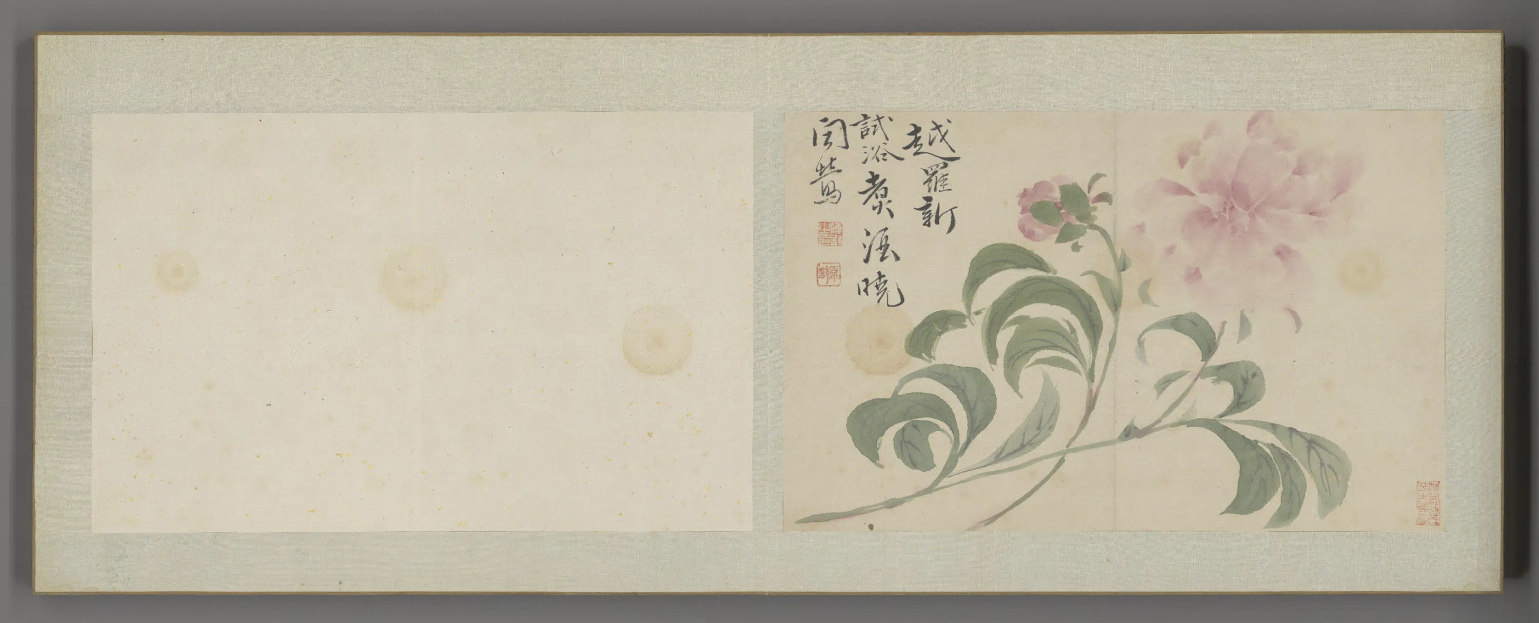 清代【陈舒】《花卉册（12开）》 第7张