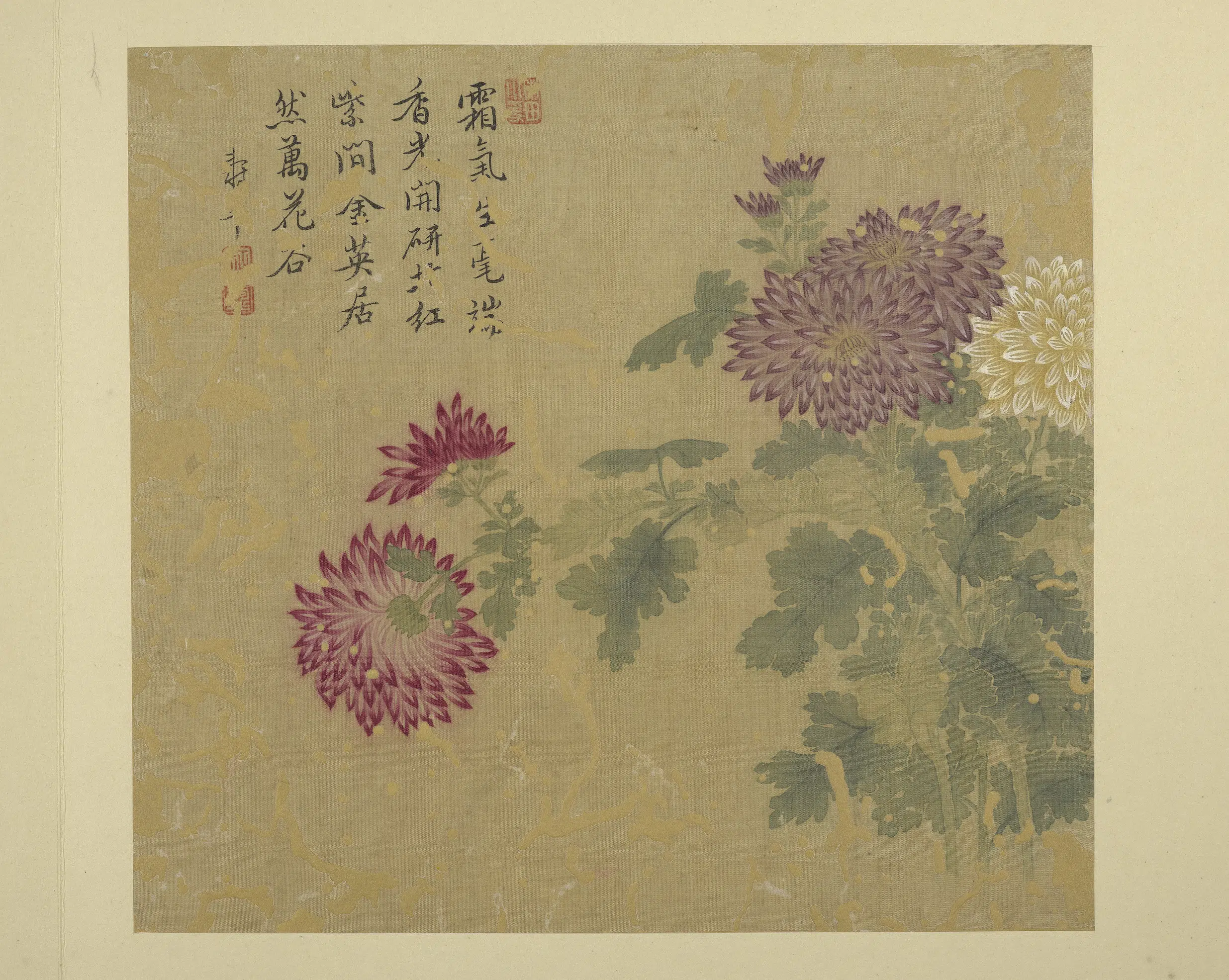 清代【恽寿平】《画花卉册-1》 第10张