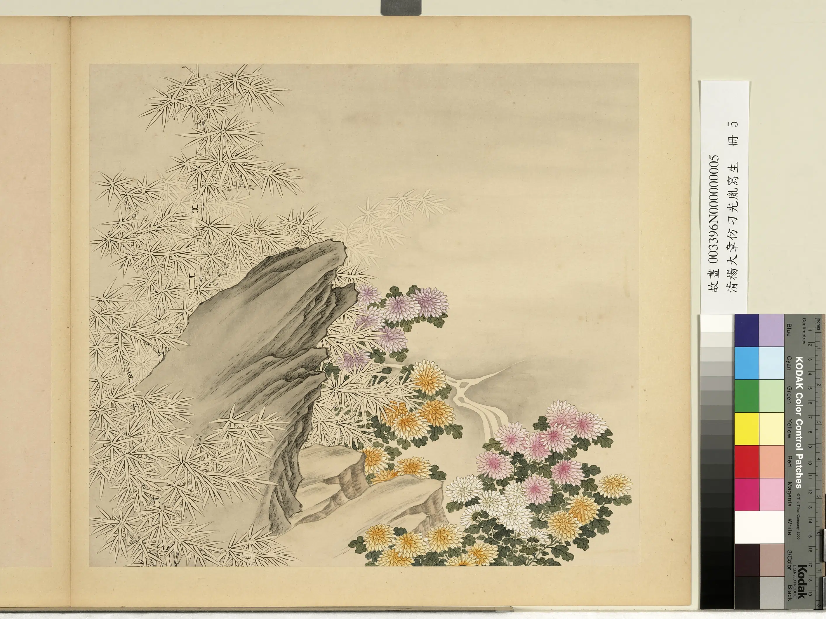清代【杨大章】《仿刁光胤写生册》 第8张