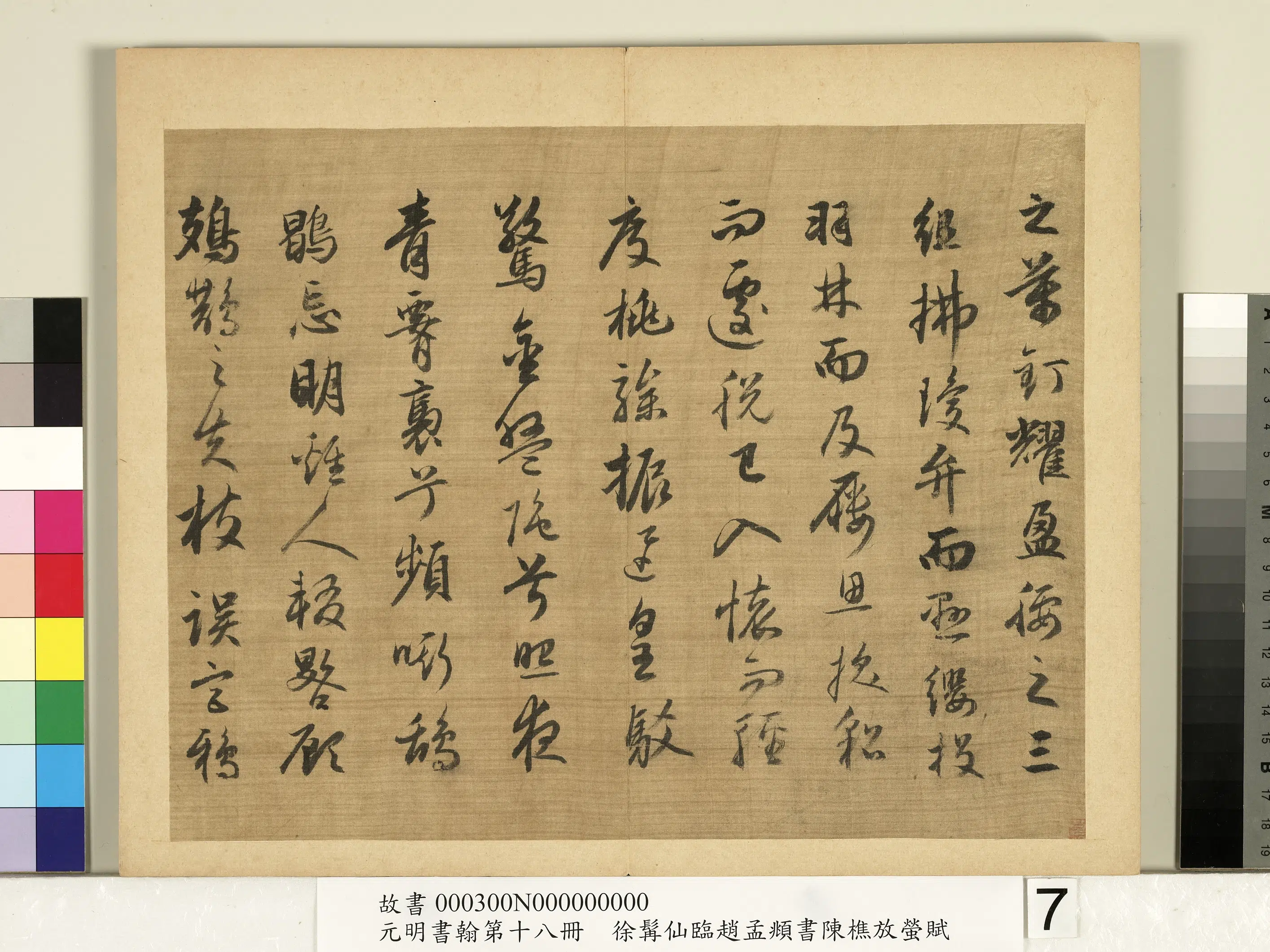 明朝【徐霖】《临赵孟頫行书陈樵放萤赋-元明书翰第十八册》 第11张