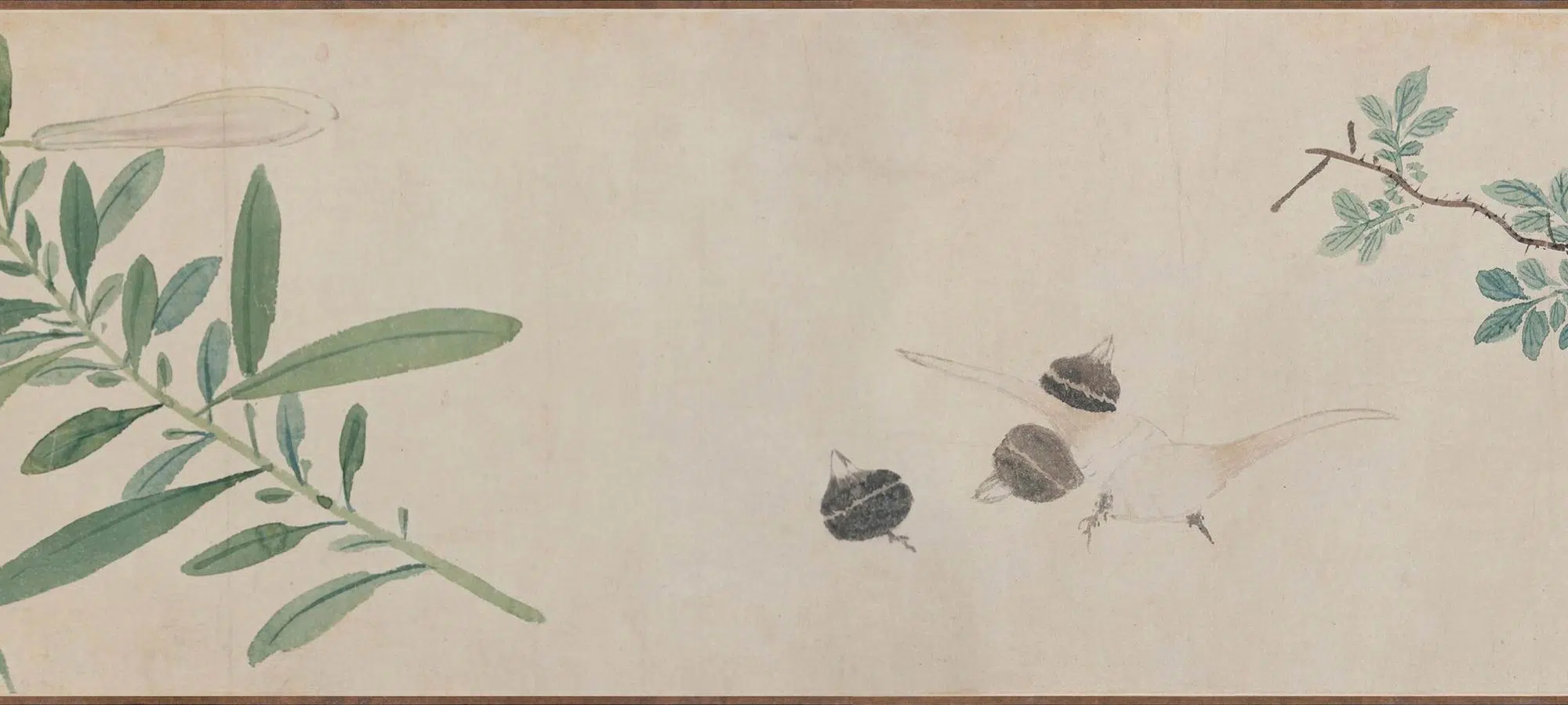 明朝【孙克弘】《花卉图卷》 第8张 明朝【孙克弘】《花卉图卷》 第8张