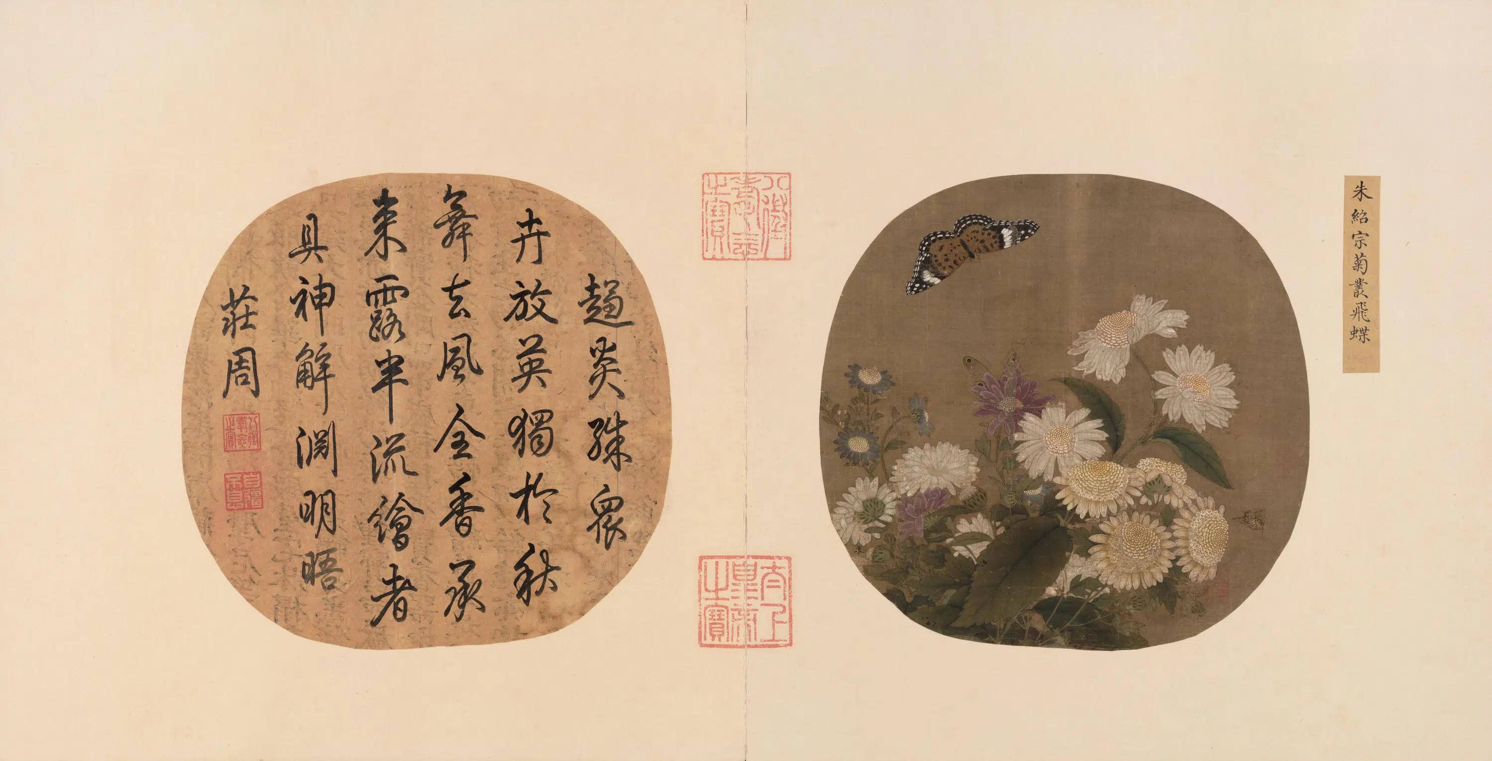 宋代【朱绍宗】《菊丛飞蝶图页》