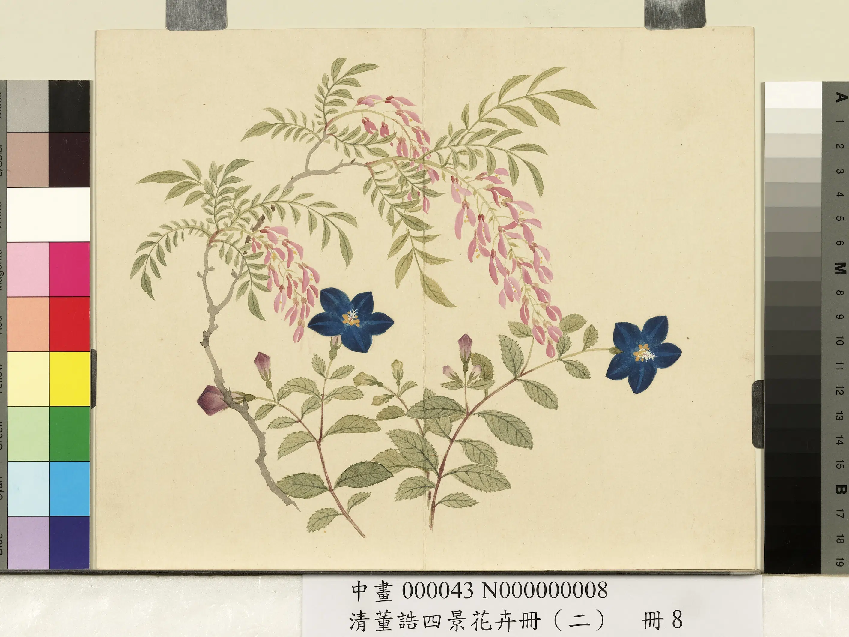 清代【董诰】《四景花卉册(二)册》 第7张 清代【董诰】《四景花卉册(二)册》 第7张