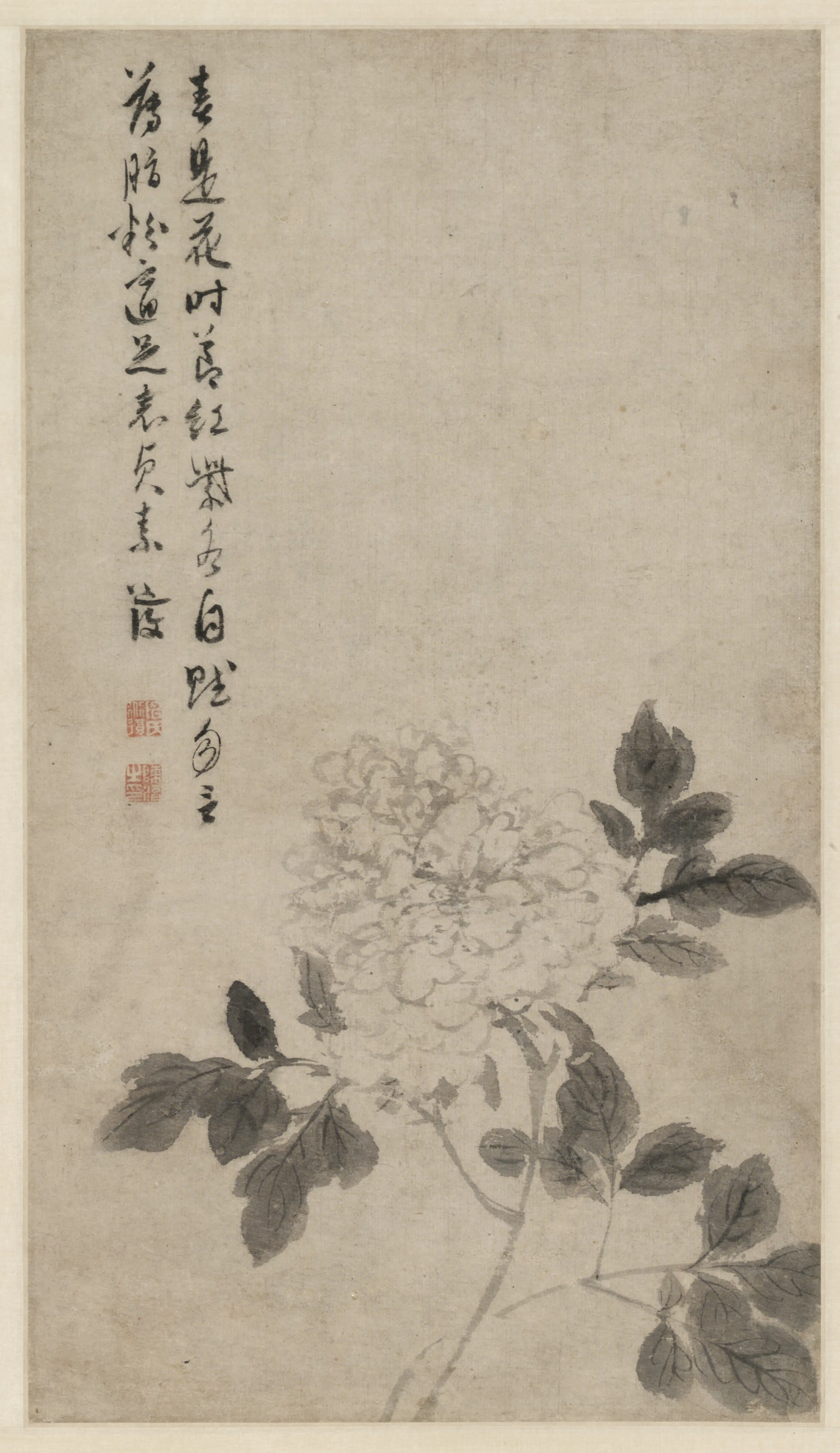 明朝【陈淳（道复）】《牡丹图轴》