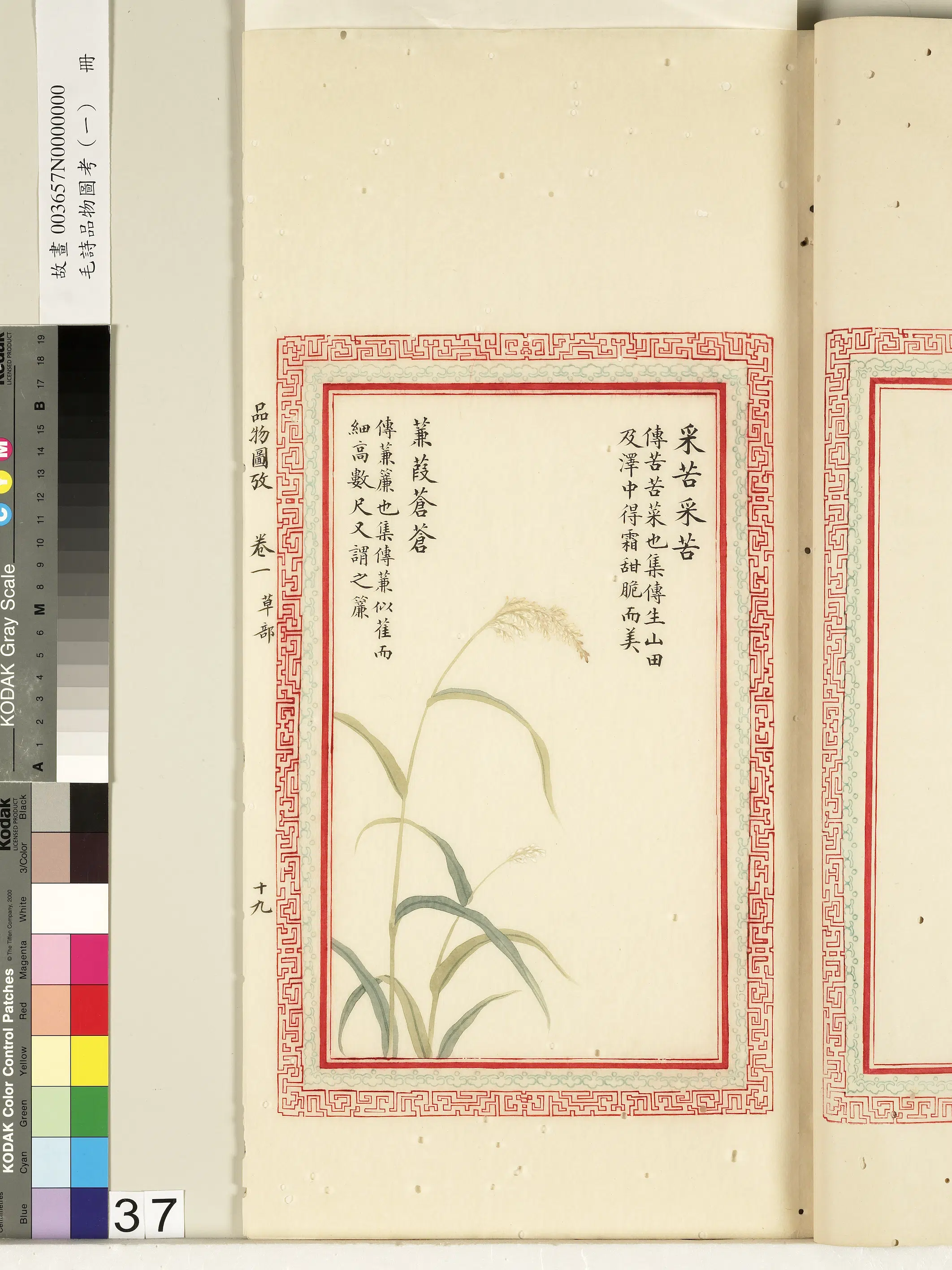 清朝《毛诗品物图考(一)册-2》 第51张 清朝《毛诗品物图考(一)册-2》 第51张