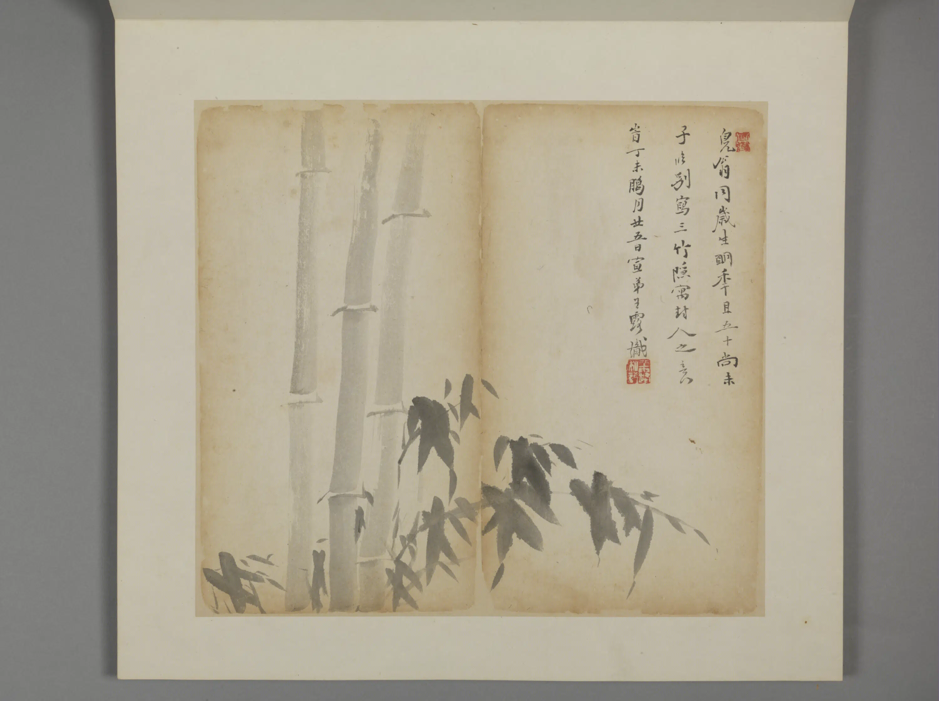 清代【王露】《花卉册》 第7张 清代【王露】《花卉册》 第7张