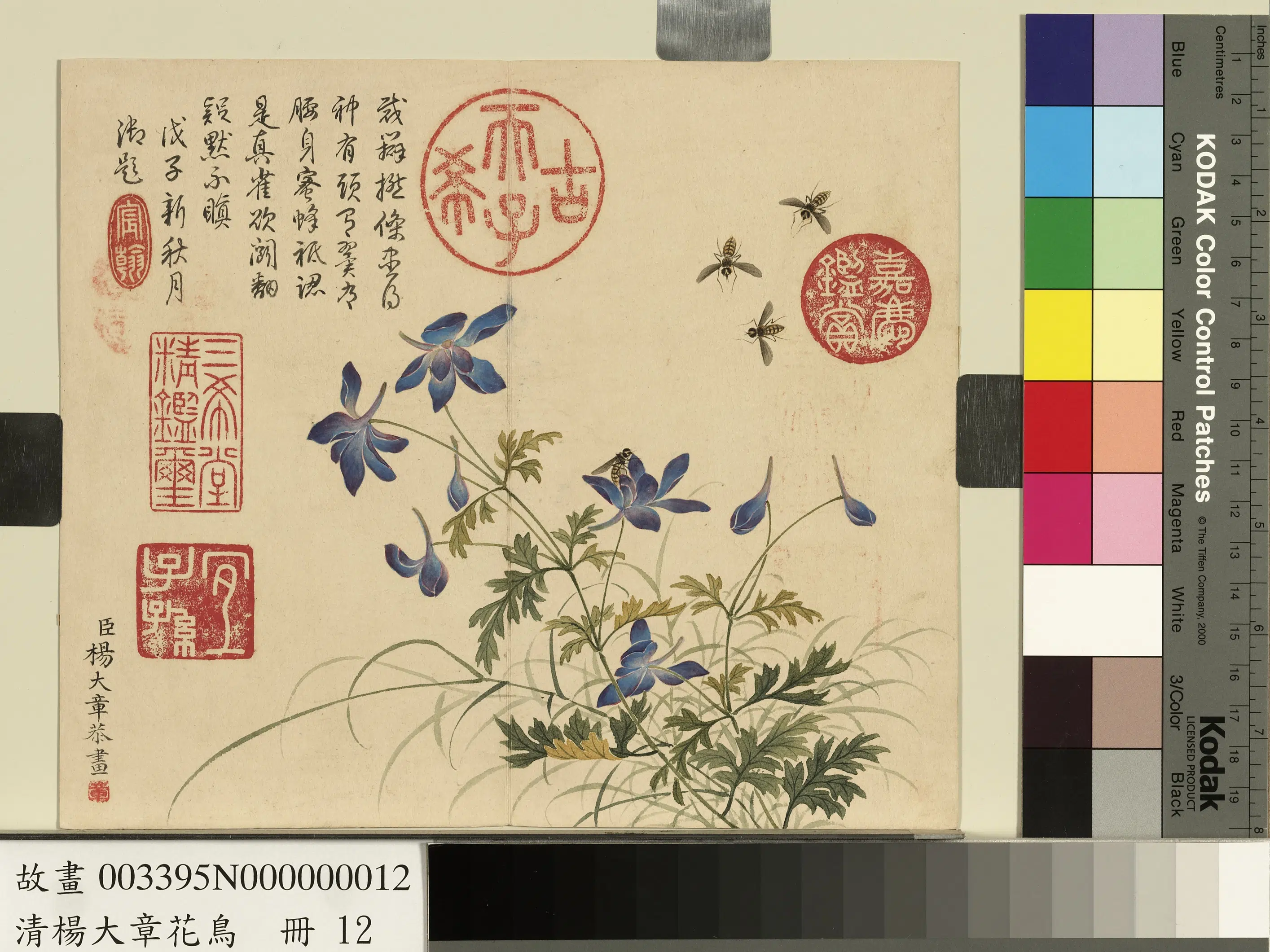 清代【杨大章】《花鸟册-蓝雀花蜜蜂》
