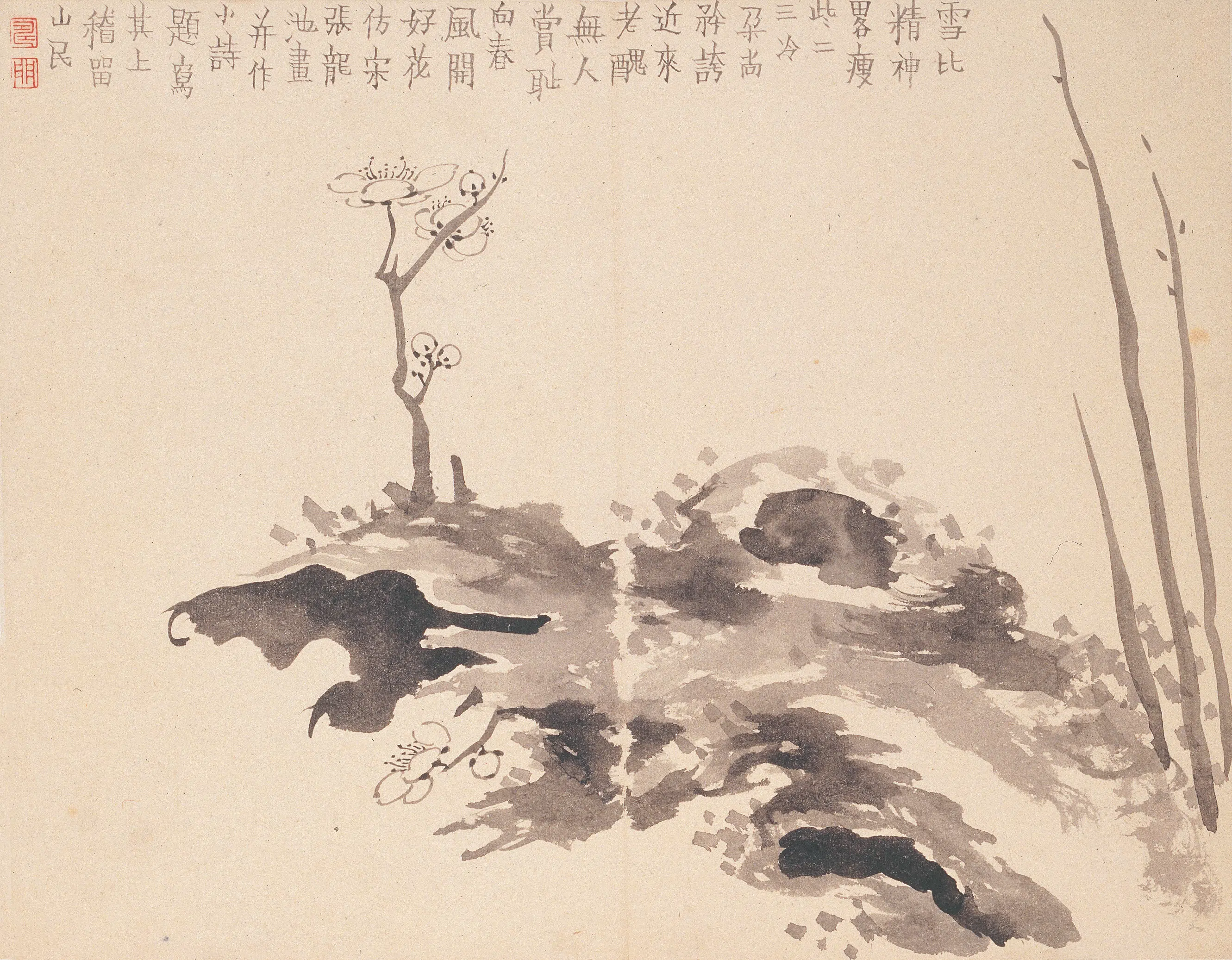 清代【金农】《墨梅图册》 第17张