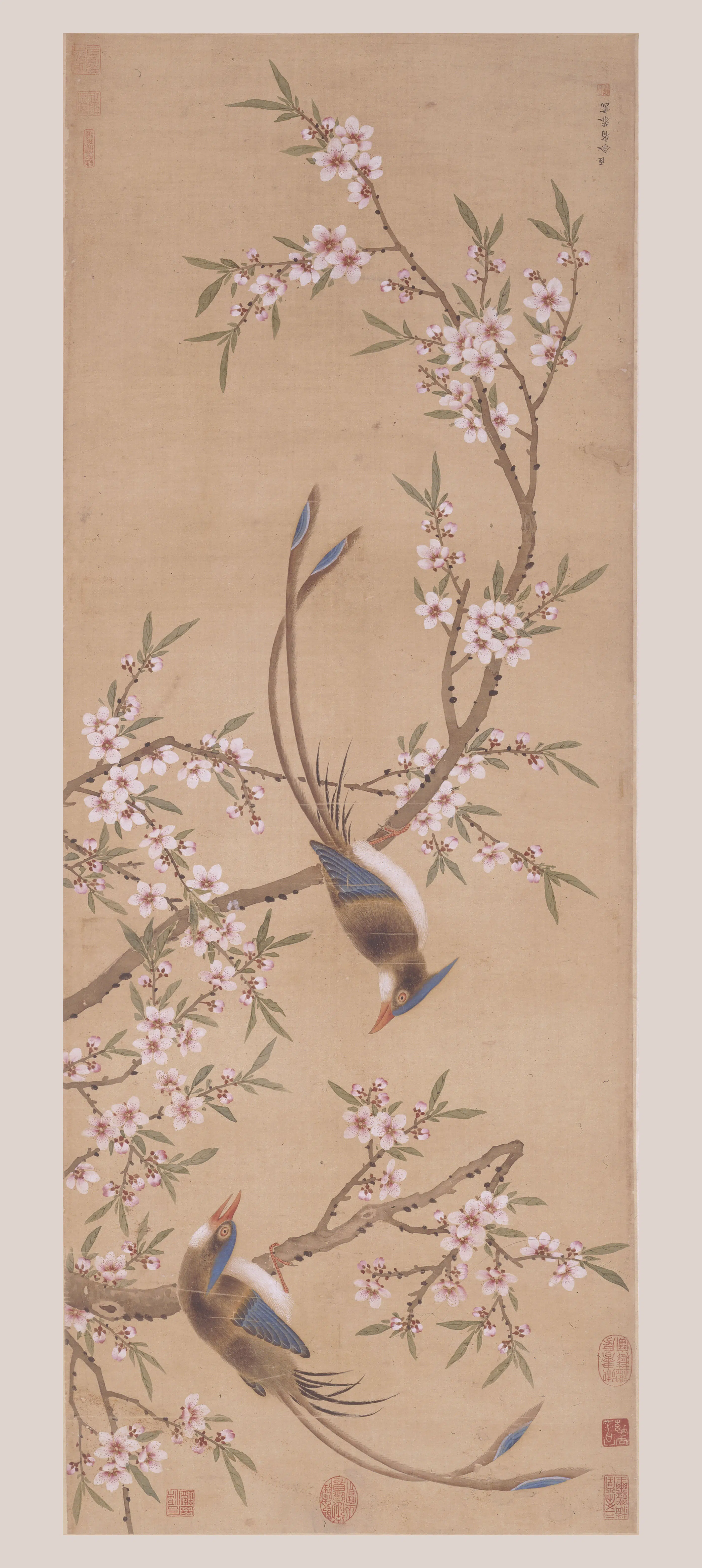 清代【余省（曾三)】《桃花双绶图轴》