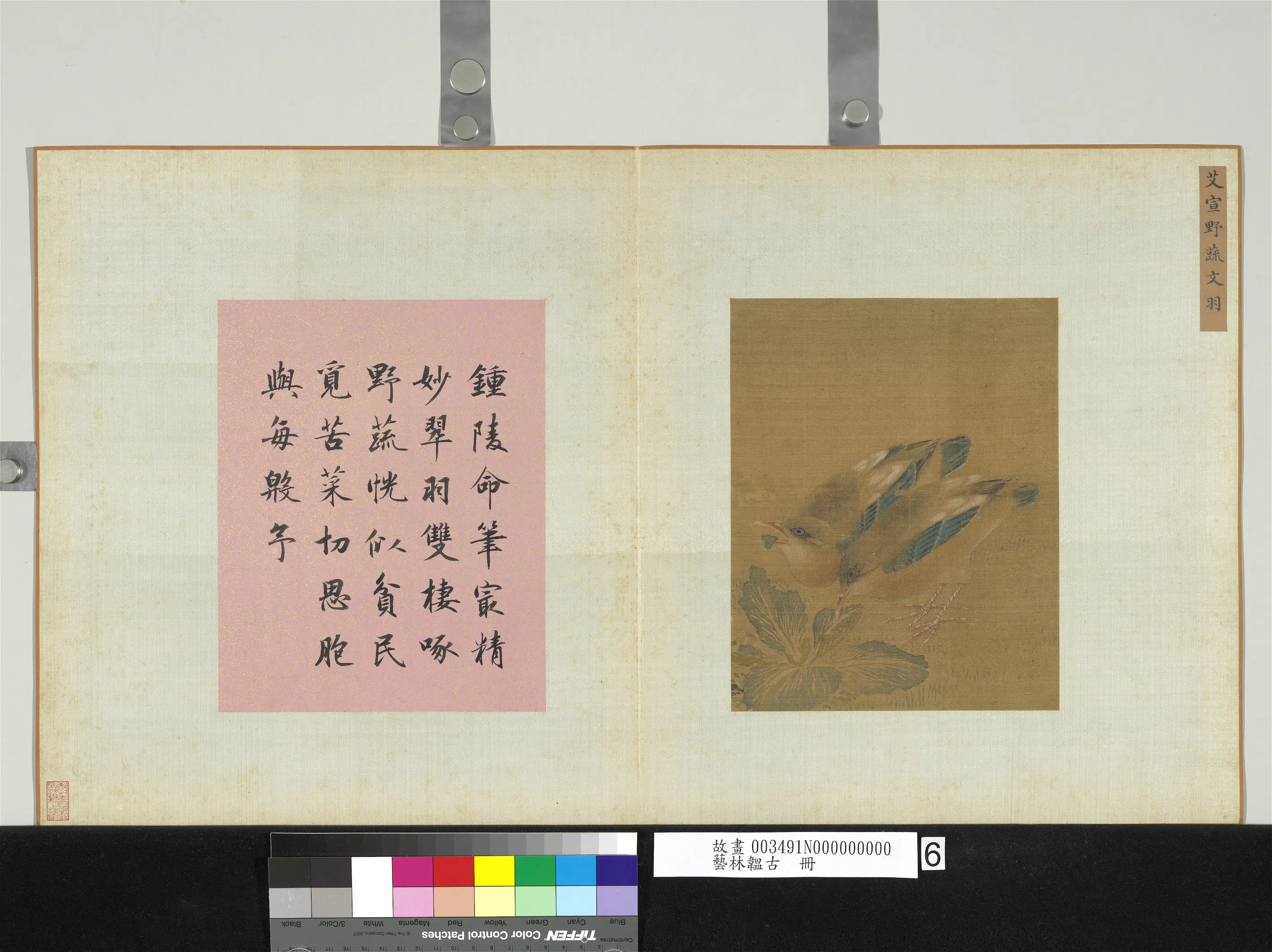 南宋【艾宣】《艺林韫古册-野蔬文羽》