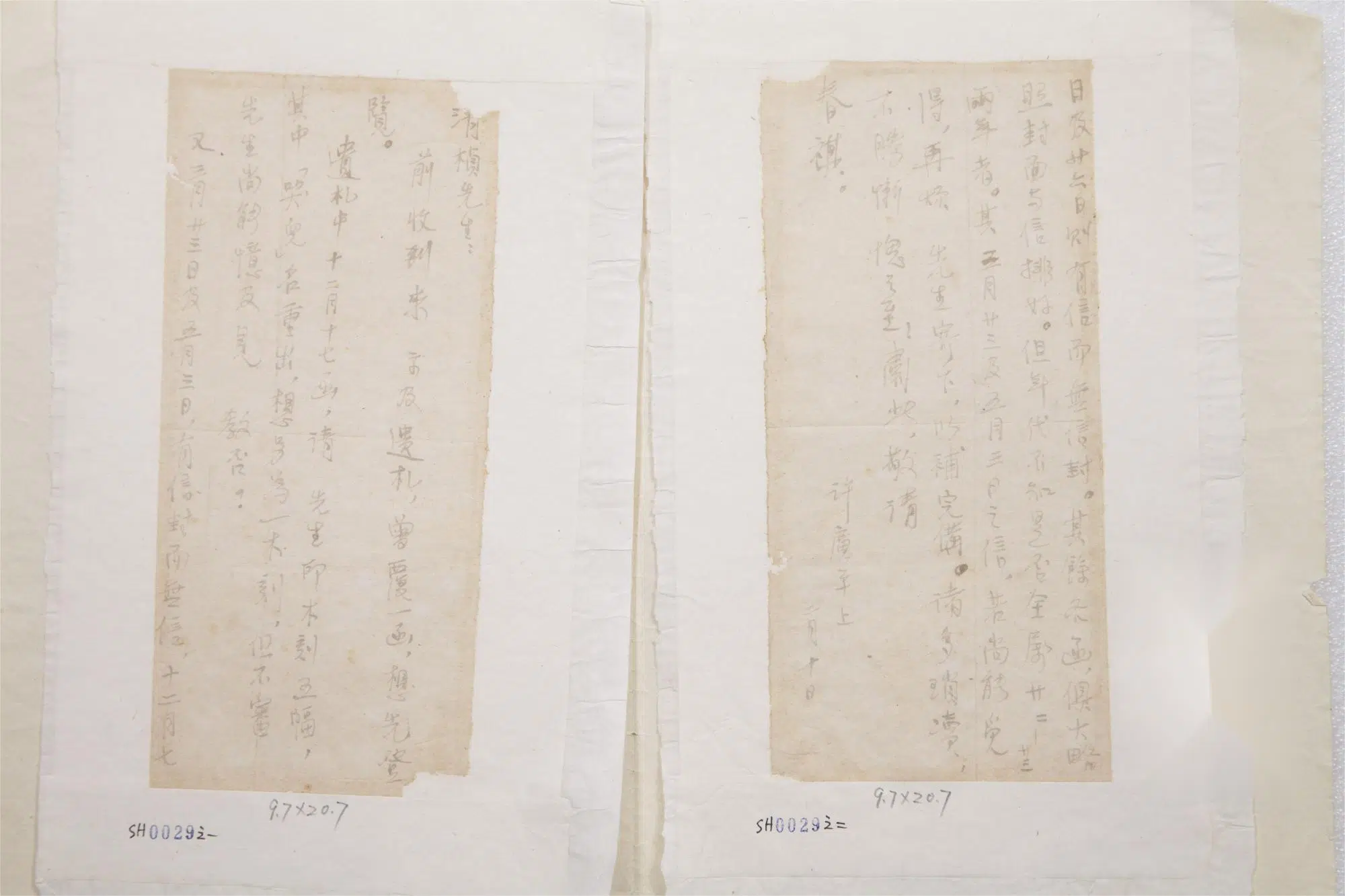近代【许广平】《给罗清桢先生的信-1》 第1张
