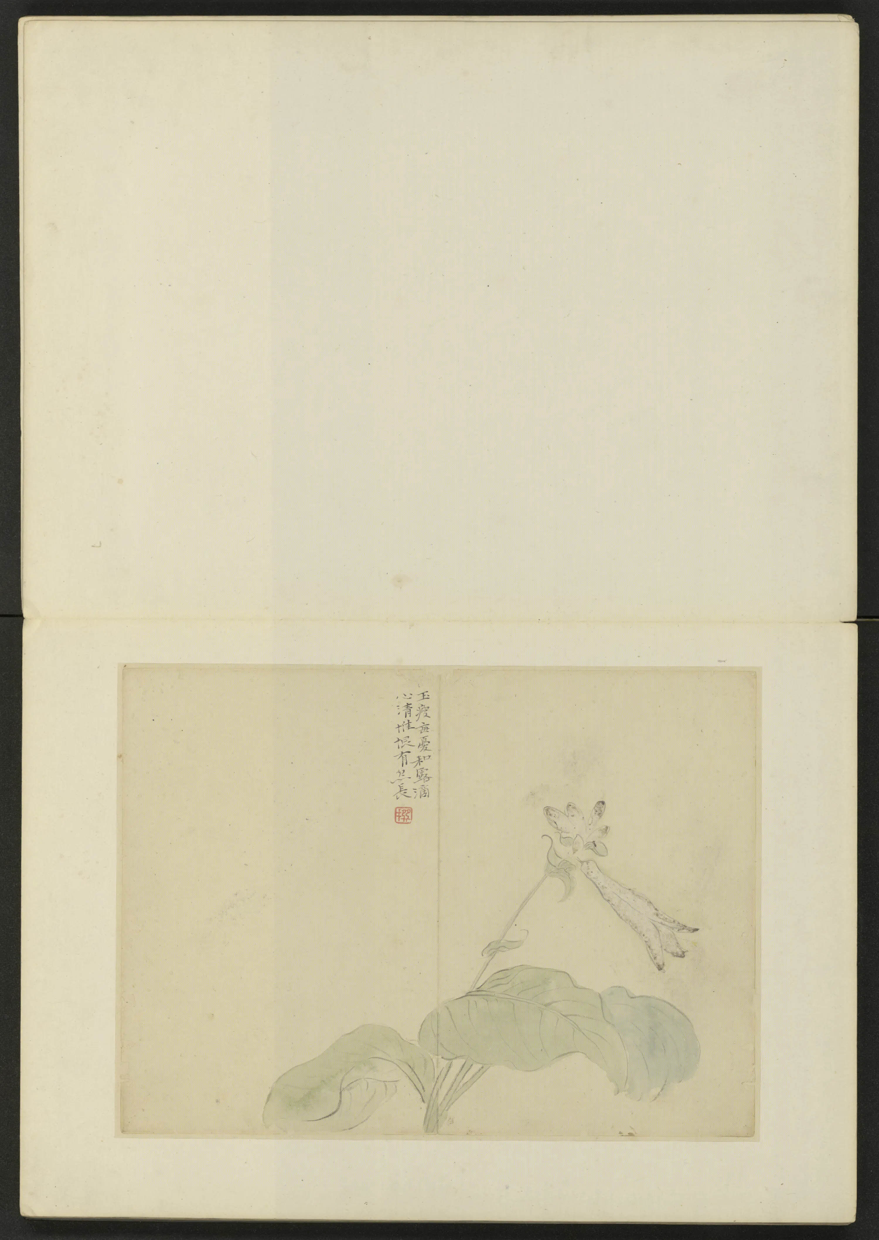 清代【陈撰】《花卉册（10开）》 第6张