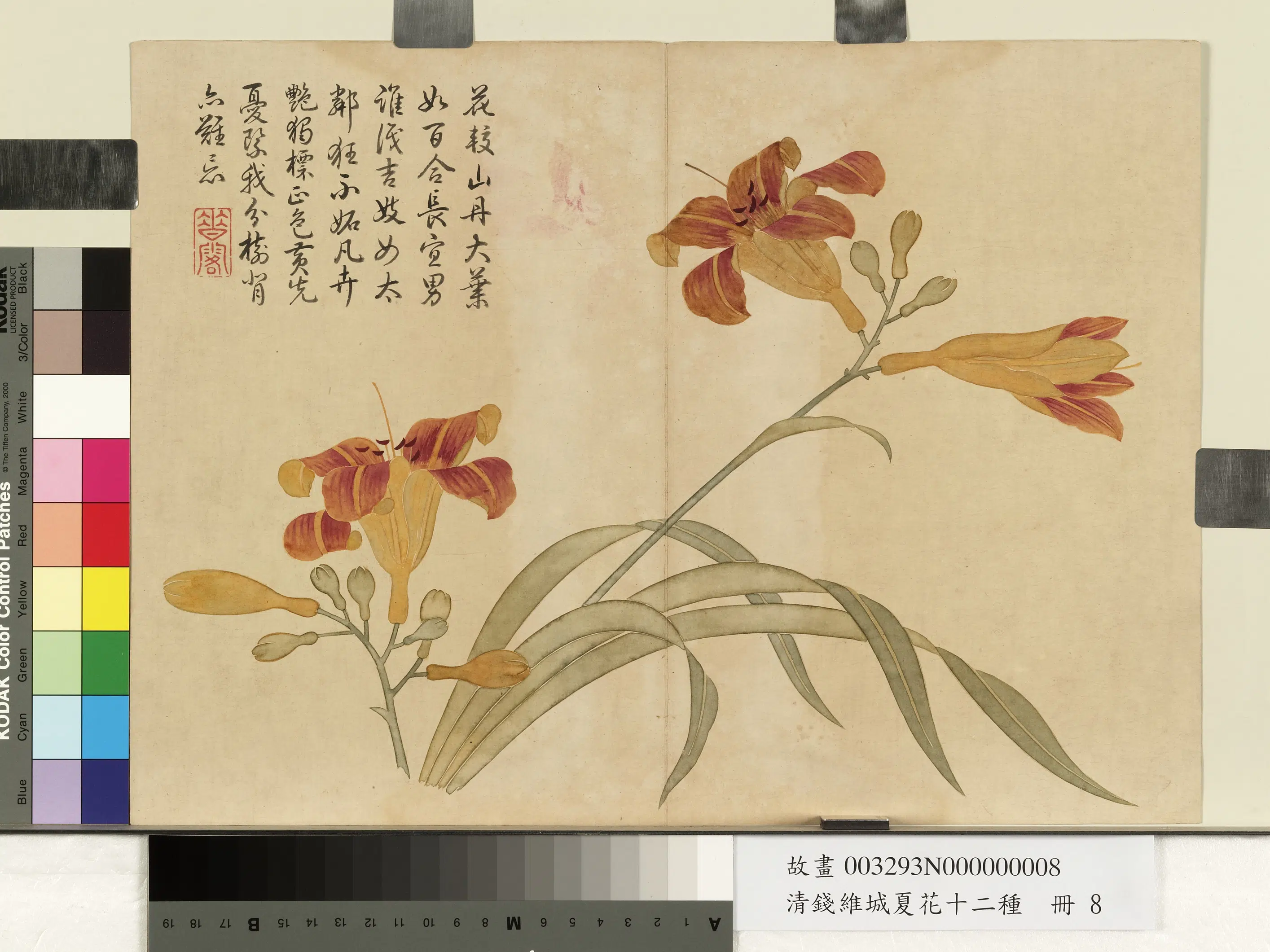 清代【钱维城】《夏华十二种册》 第9张 清代【钱维城】《夏华十二种册》 第9张