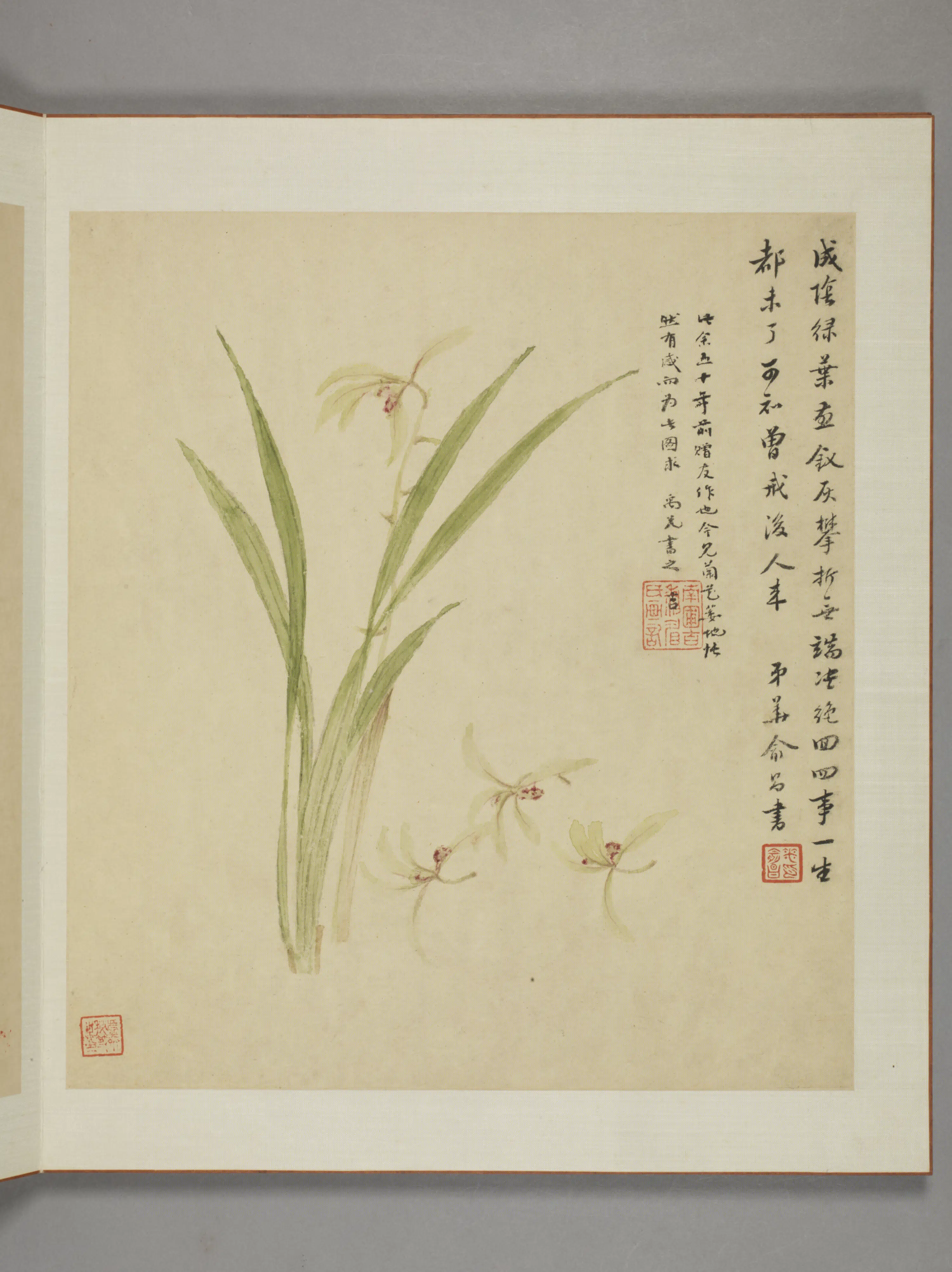 清代【邹显吉】《花卉图册》 第6张