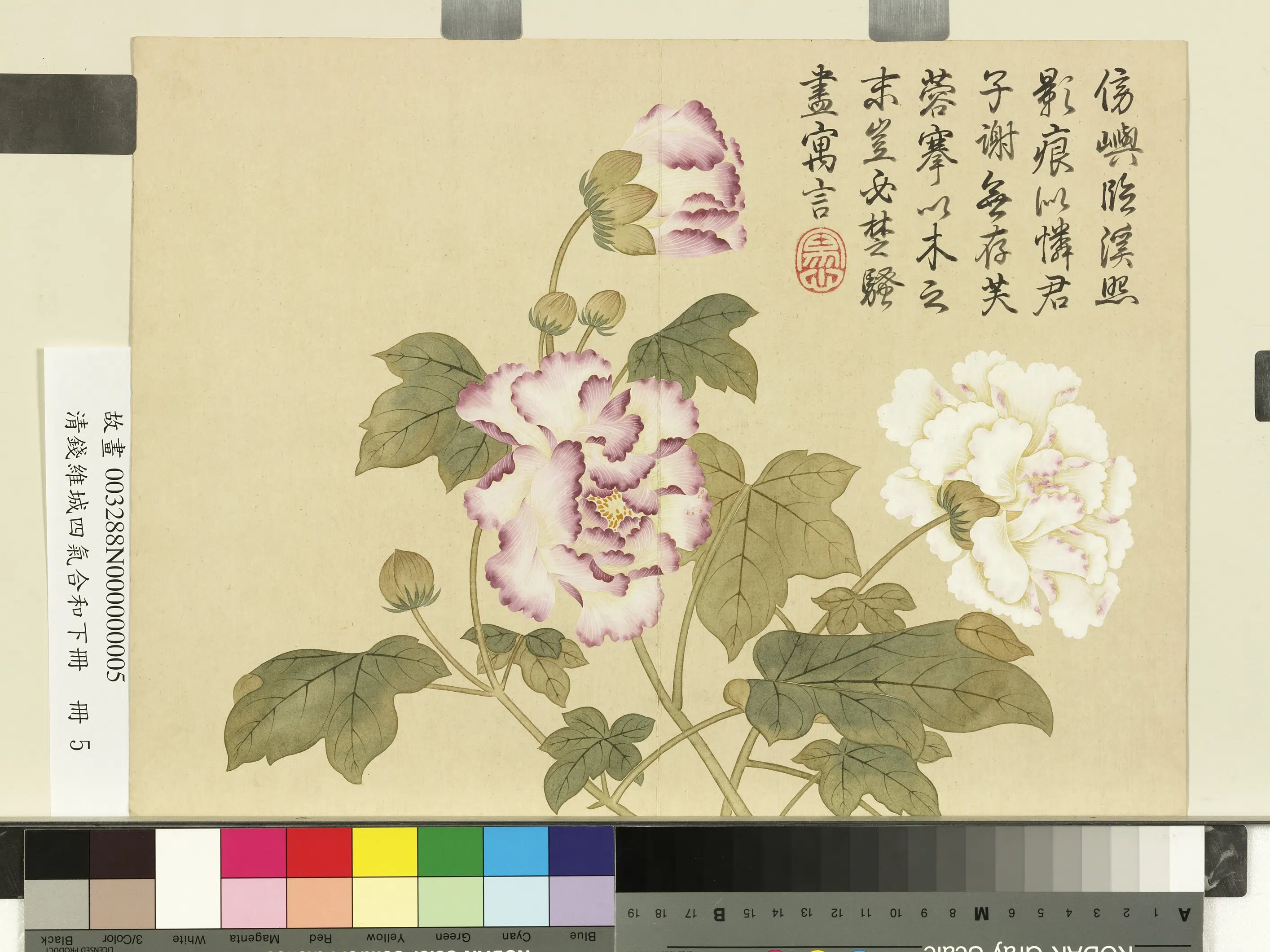 清代【钱维城】《画四气含和下册-木芙蓉》