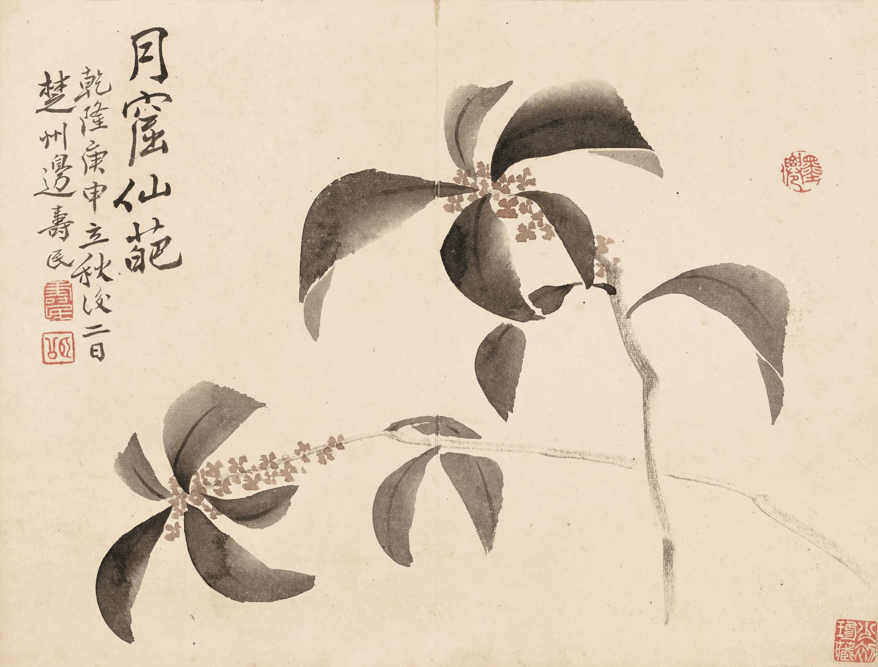 清代【边寿民】《合影芦雁图册》 第9张