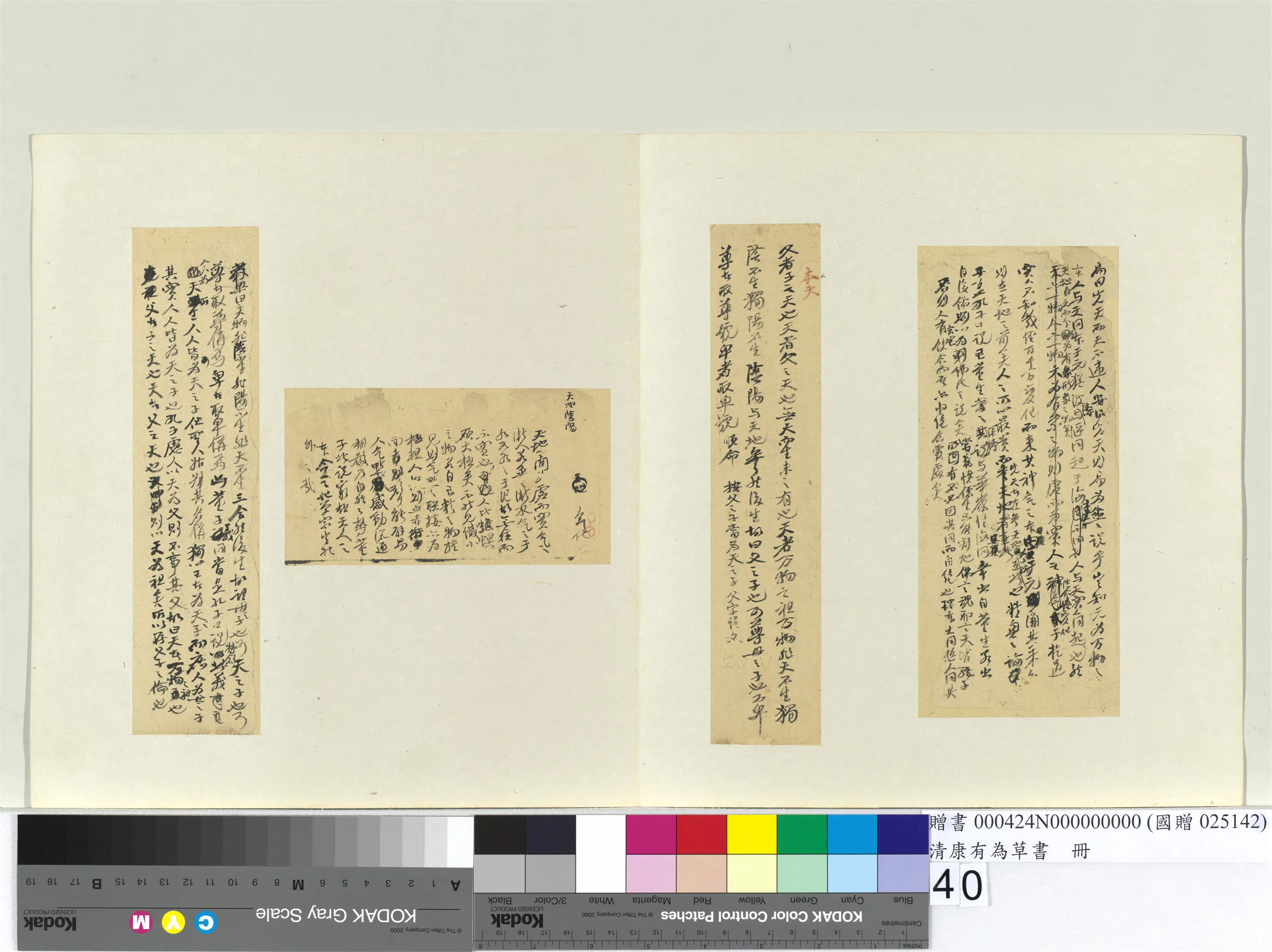 清代【康有为】《草书册》 第35张
