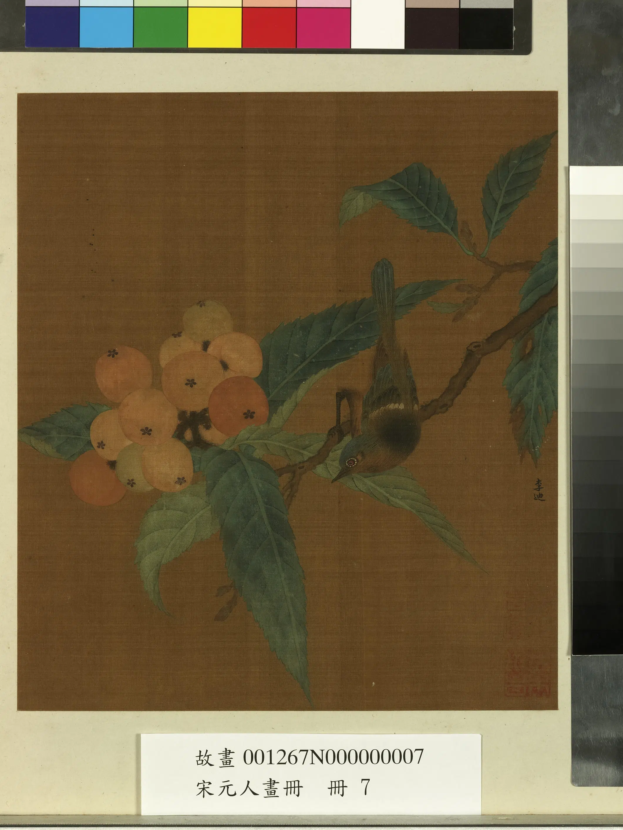 南宋【李迪】《宋元人画册-枇杷幽雀》