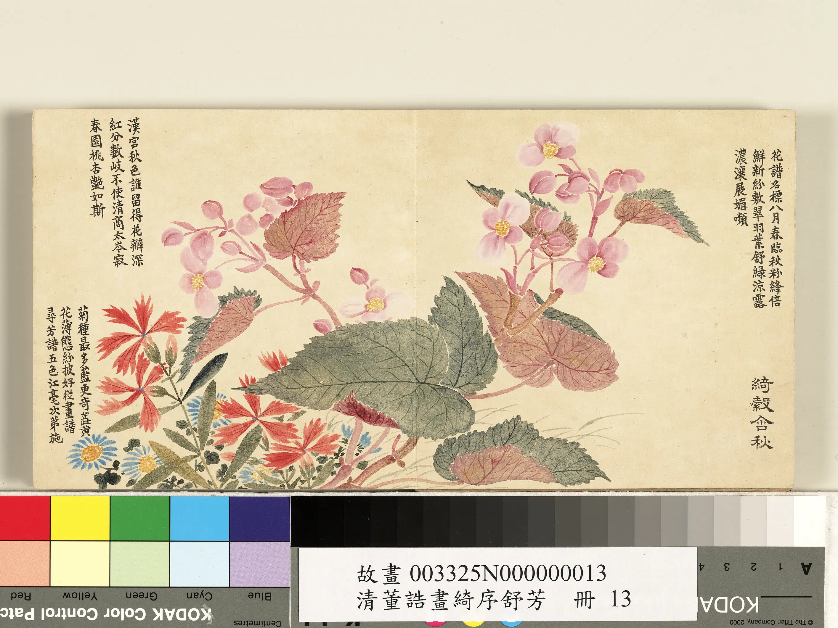 清代【董诰】《绮序舒芳册图-24开》 第19张