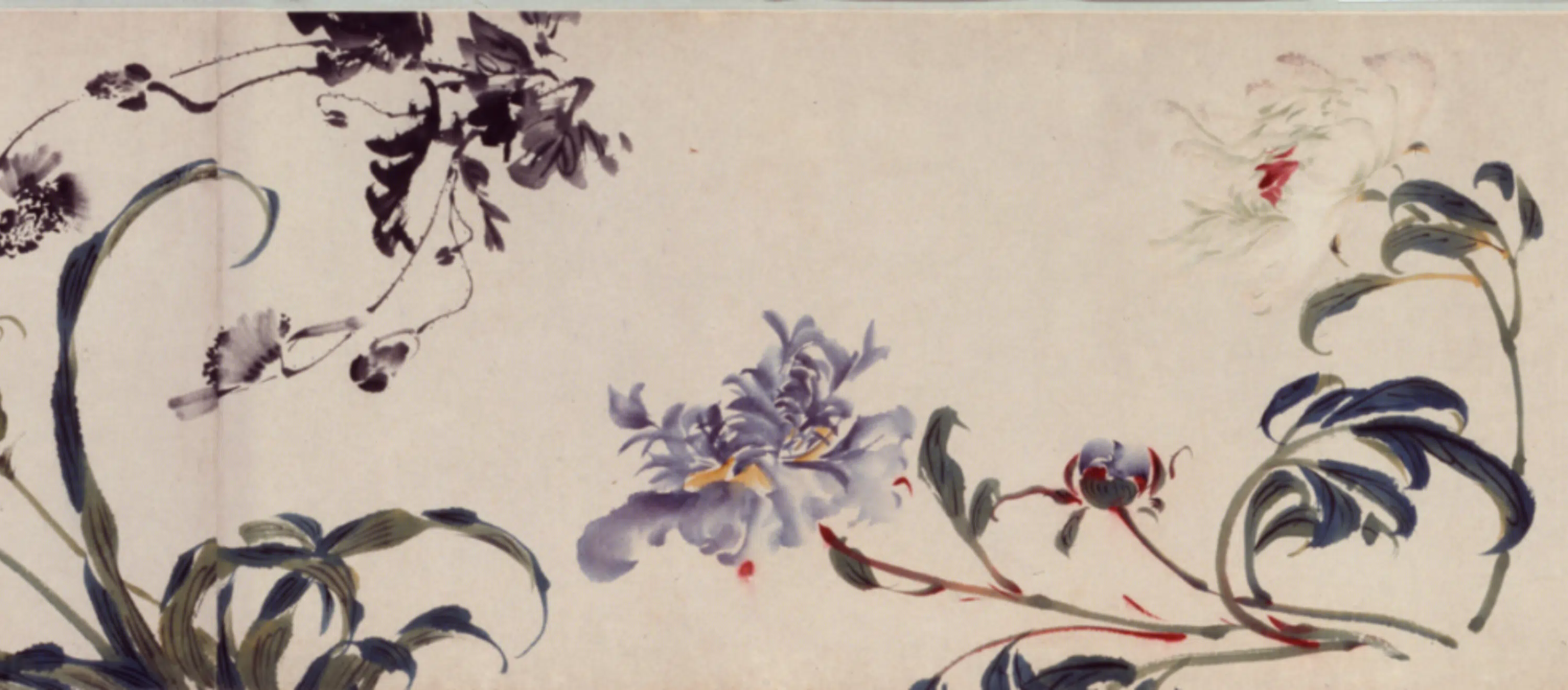 清代【袁江】《花果图卷》 第8张 清代【袁江】《花果图卷》 第8张