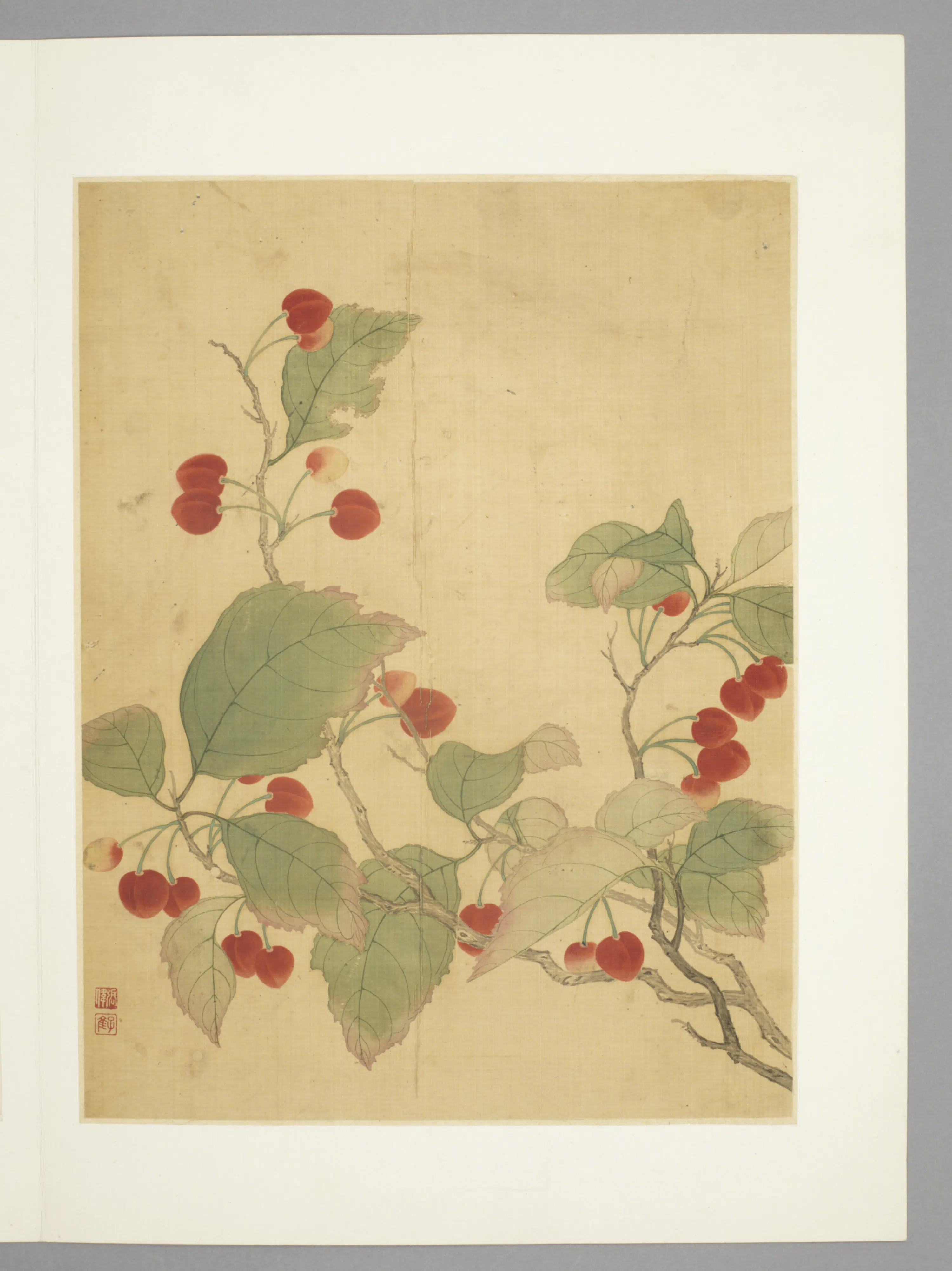 清代【张伟】《花卉册（9开）》 第7张