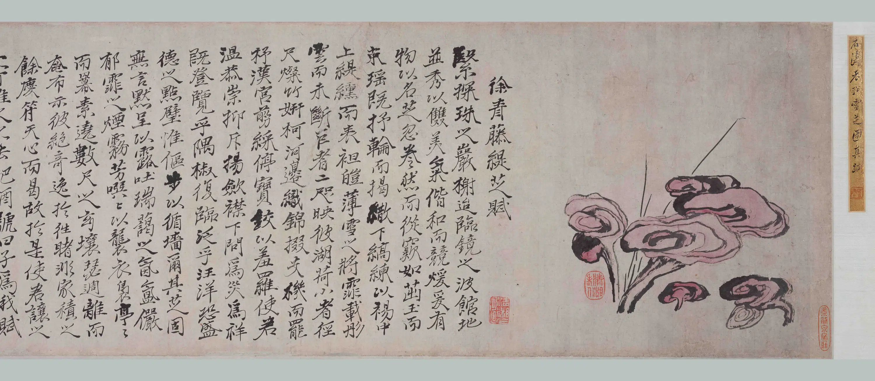 清代【石涛】《双松灵芝图卷》 第3张