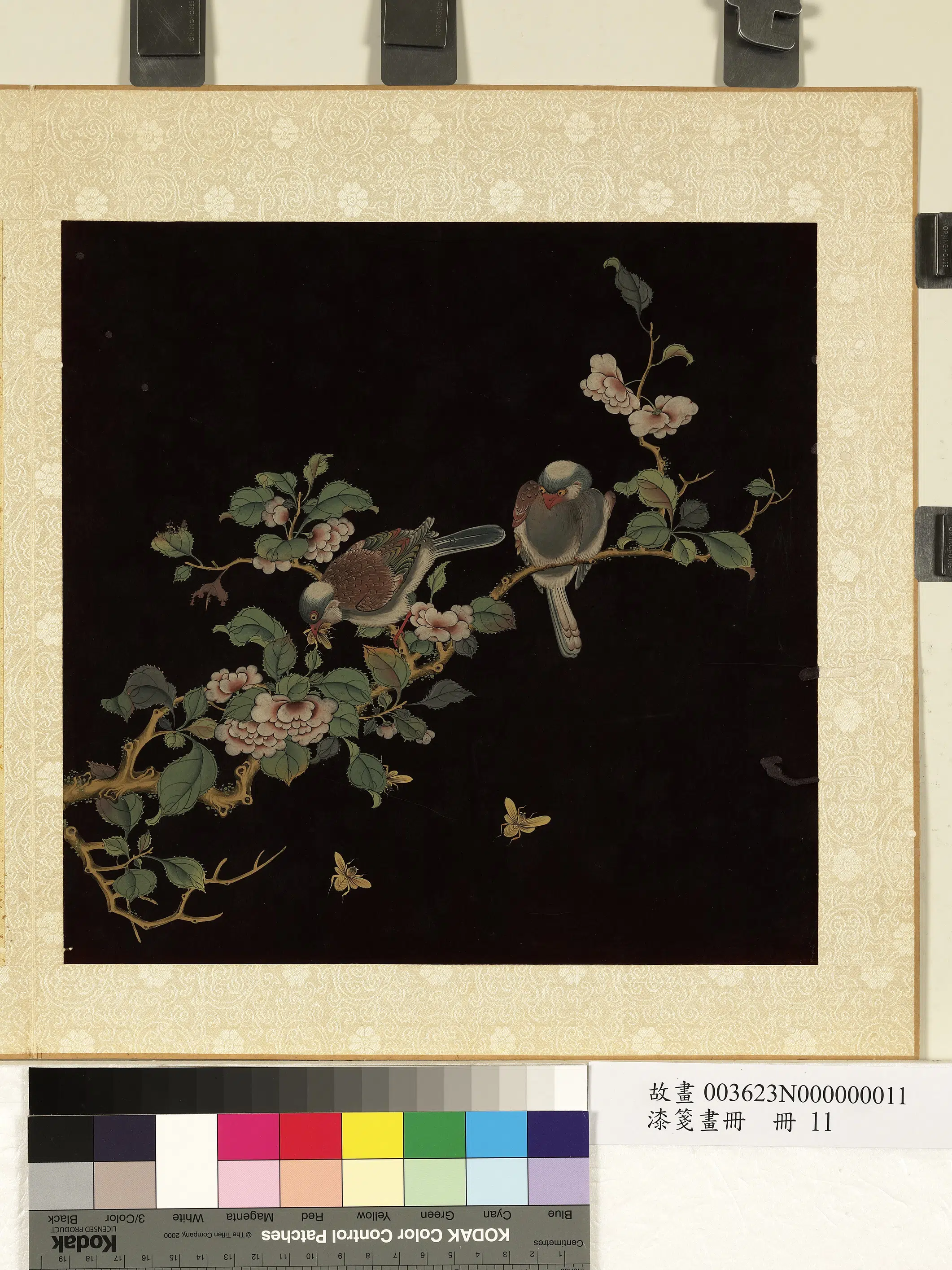 清朝【佚名】《漆笺画册-鸟捕虫》