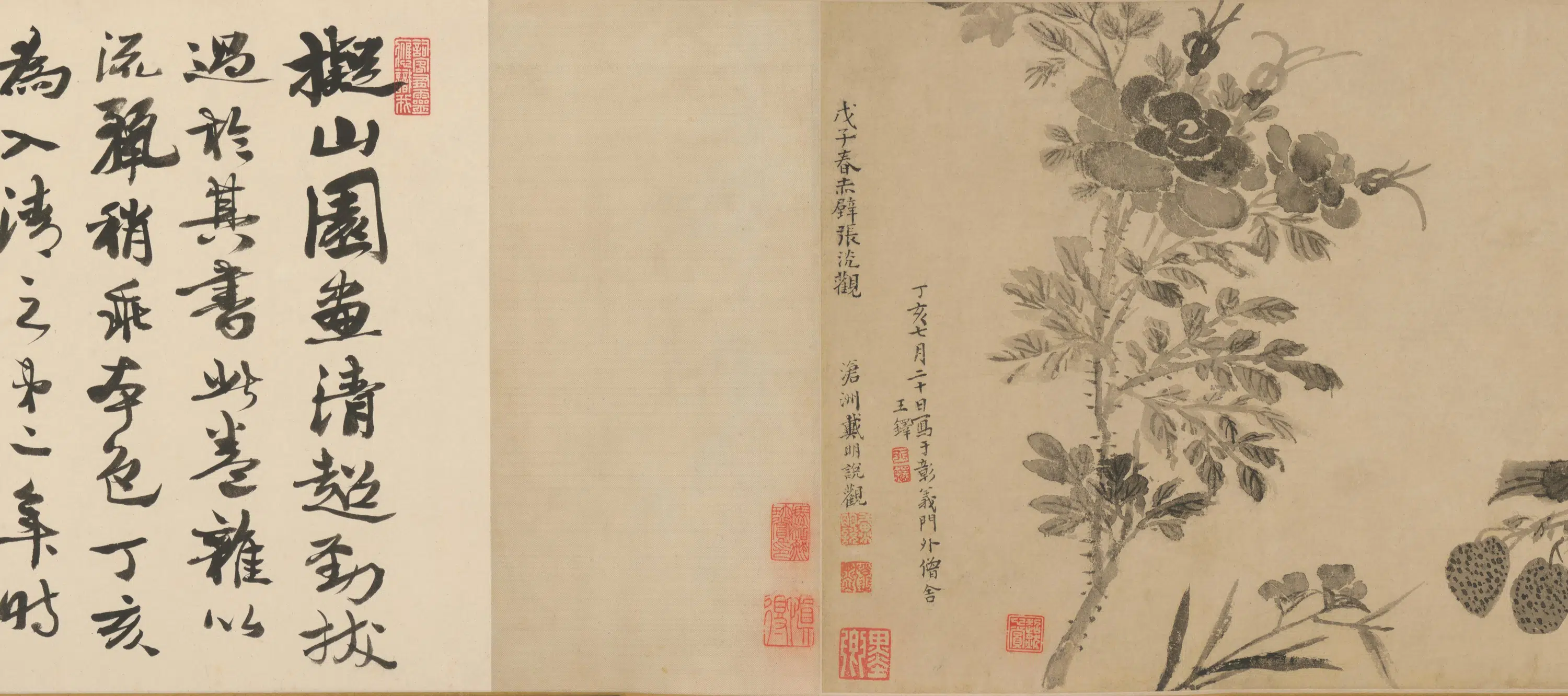明朝【王铎】《花卉卷》 第2张 明朝【王铎】《花卉卷》 第2张
