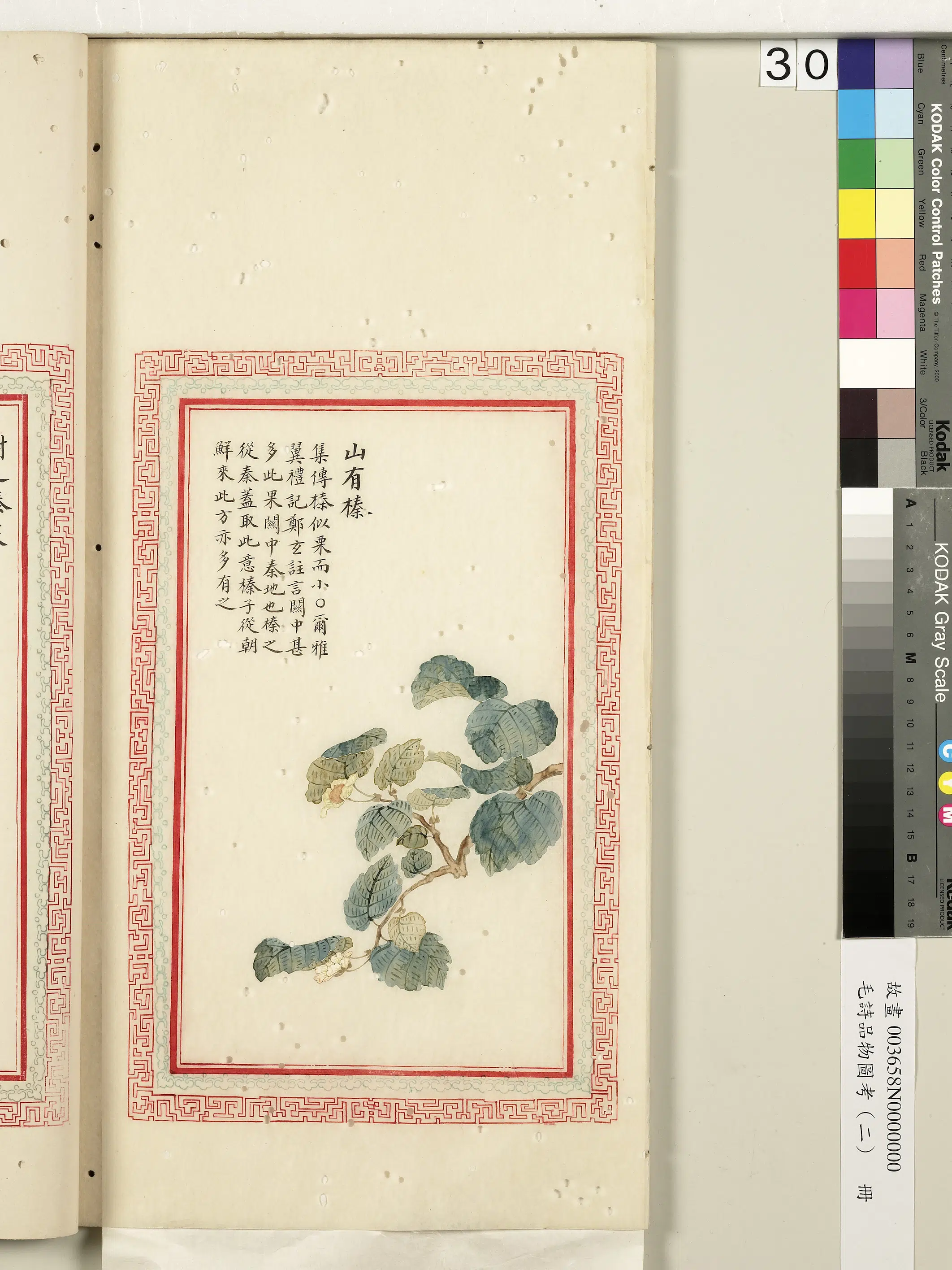 清代《毛诗品物图考（二）册-2》 第19张