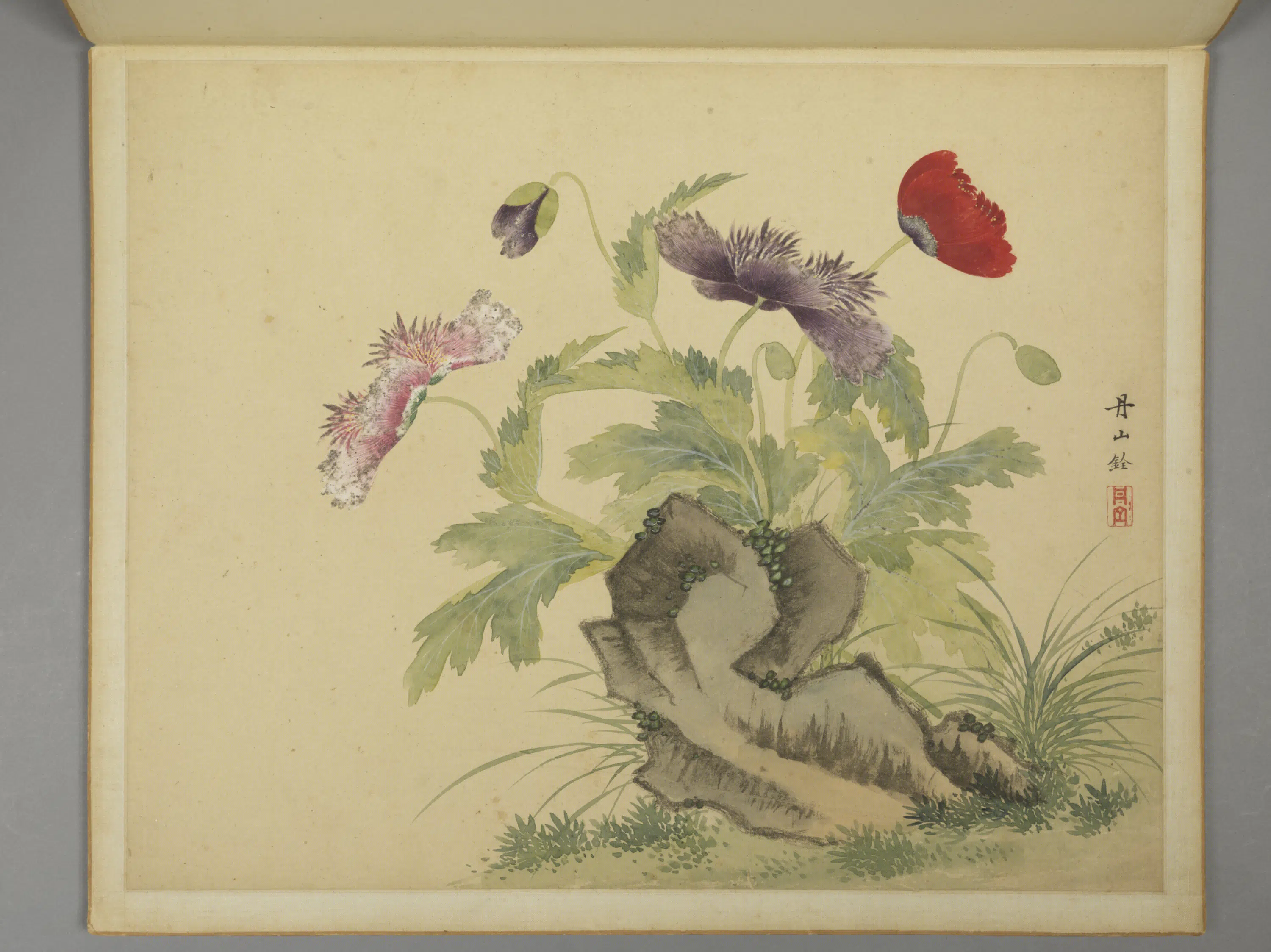 清代【周铨】《花鸟昆虫图册（12开）》 第10张