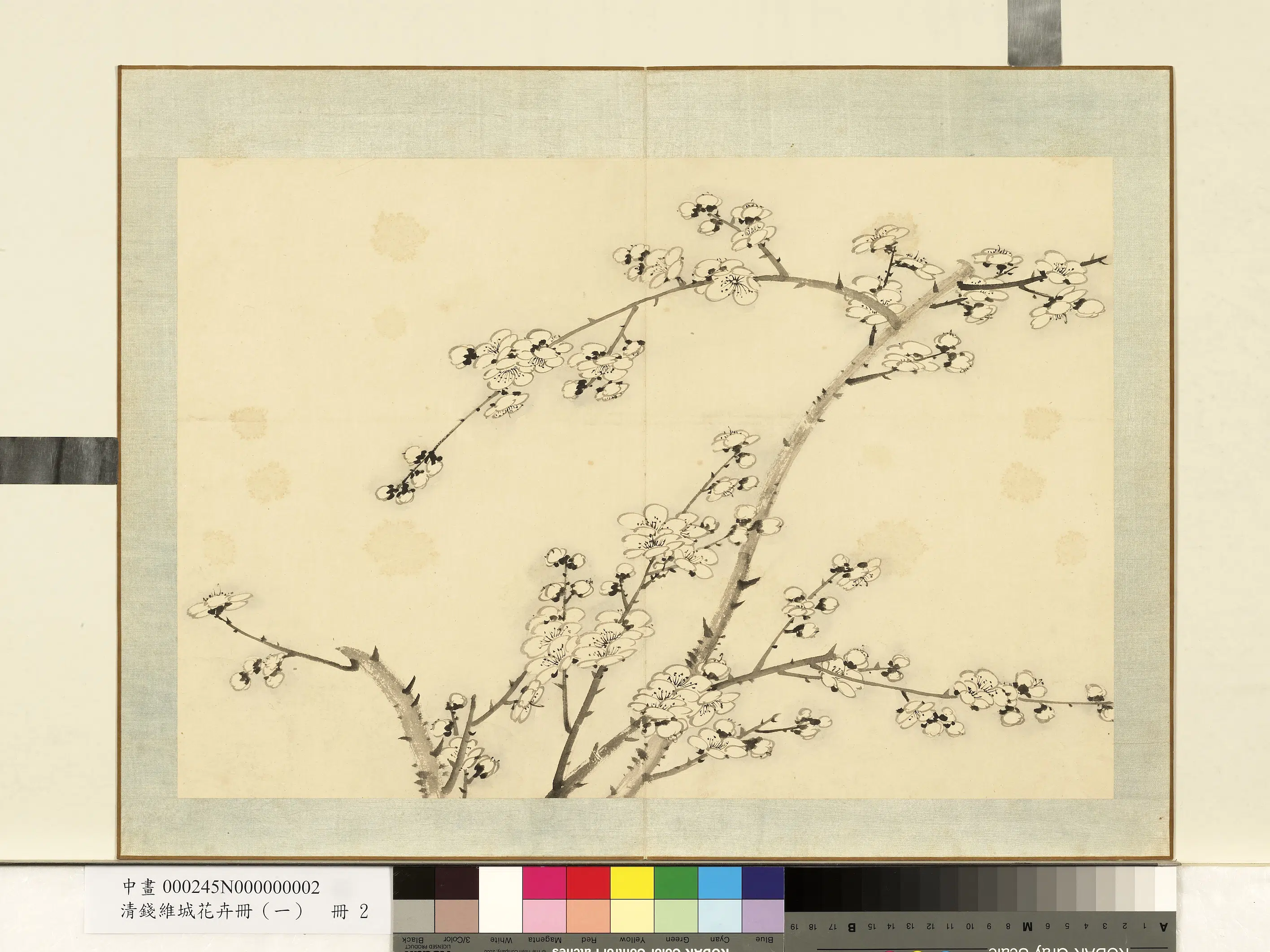 清代【钱维城】《花卉册(一)册》 第5张 清代【钱维城】《花卉册(一)册》 第5张