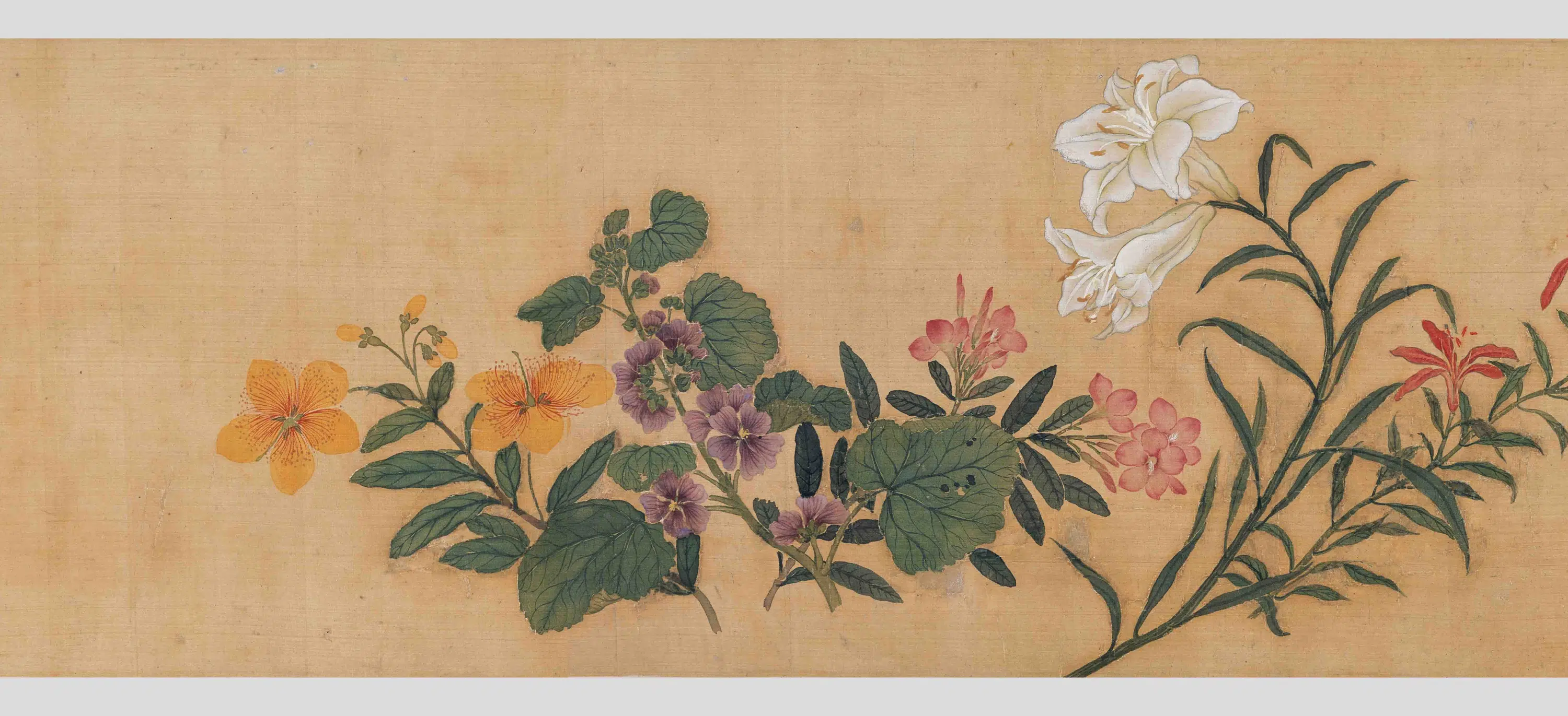 清代【马荃】《四季花卉卷》 第7张 清代【马荃】《四季花卉卷》 第7张