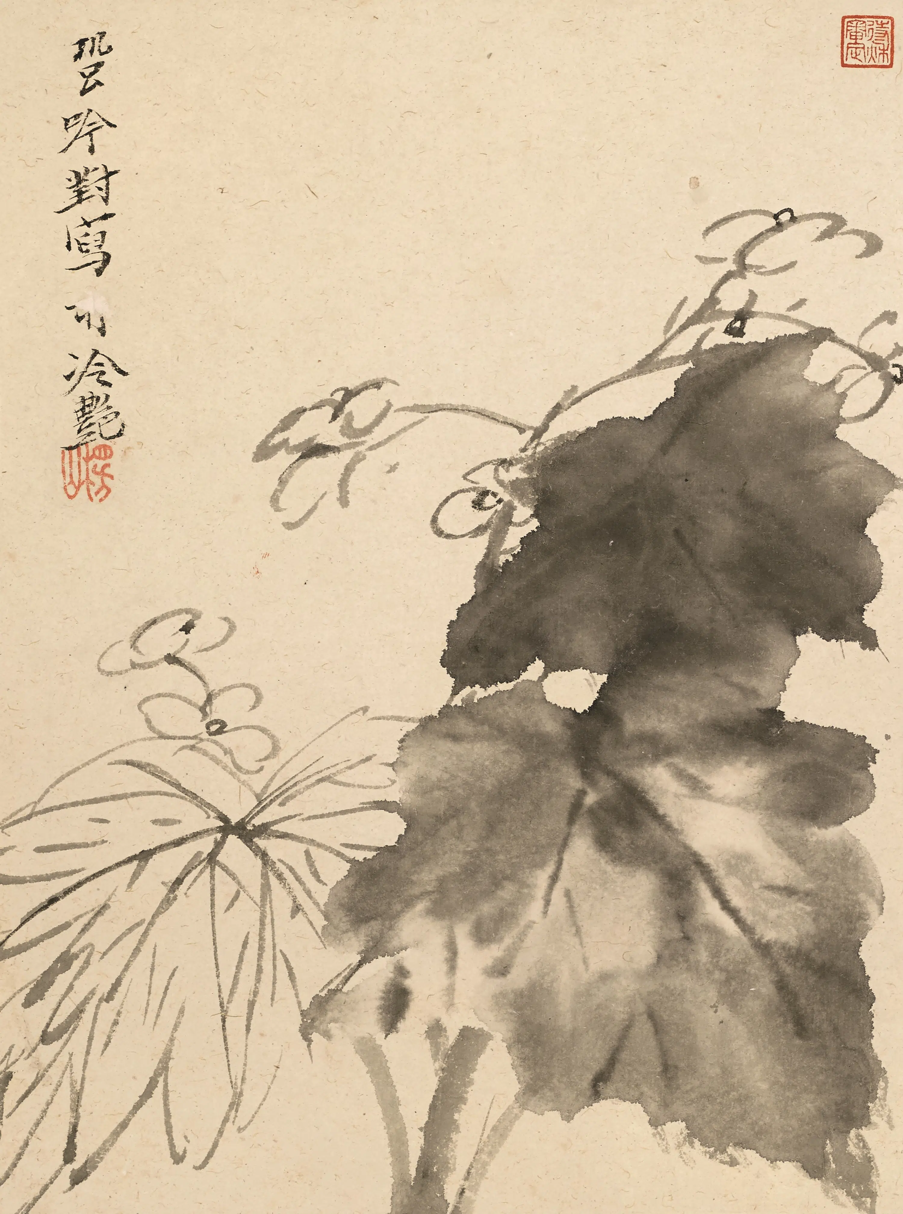 清代【陈撰】《花卉图册-2》 第5张
