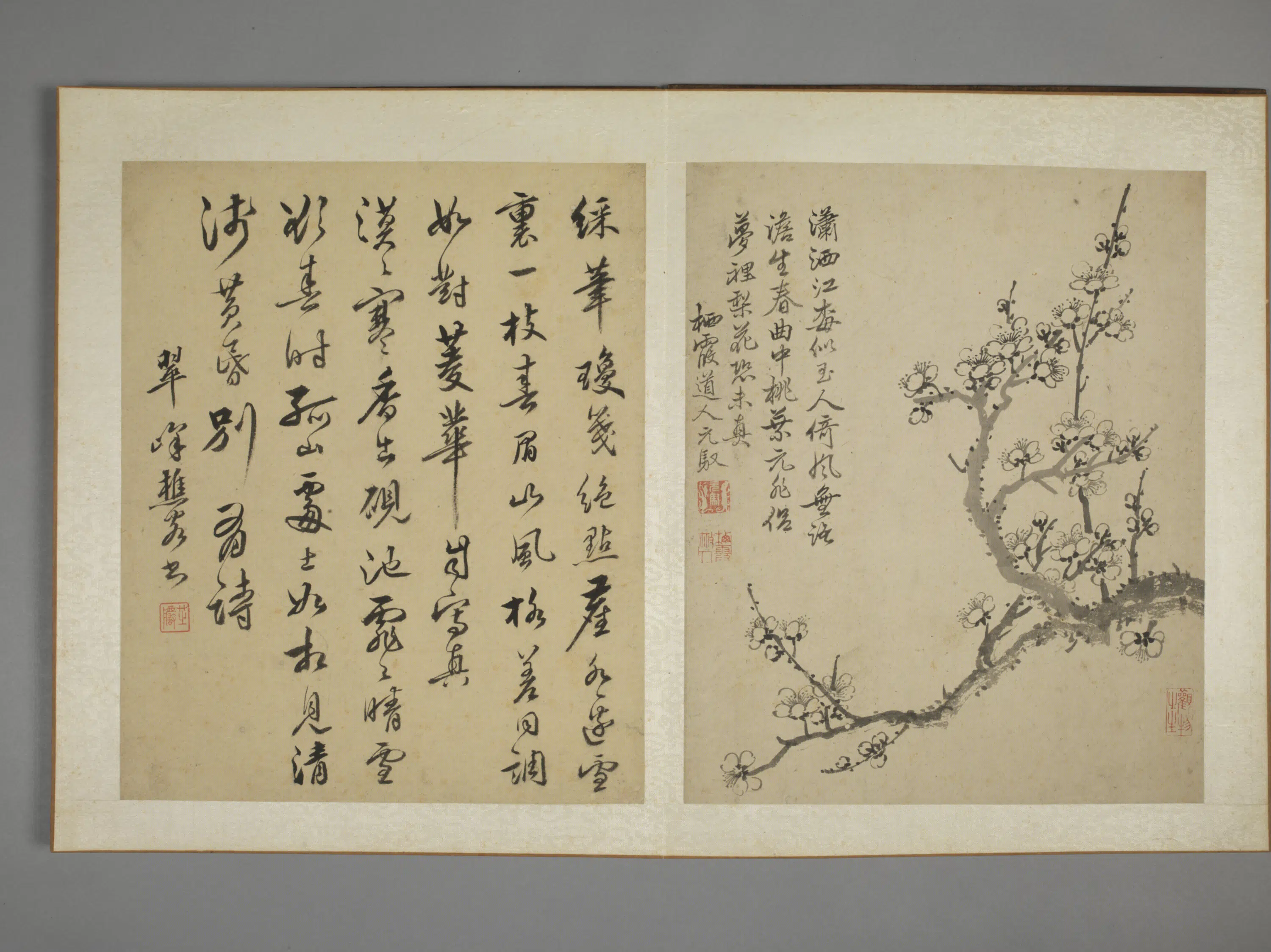 清代【马元驭】《花鸟图册》 第10张