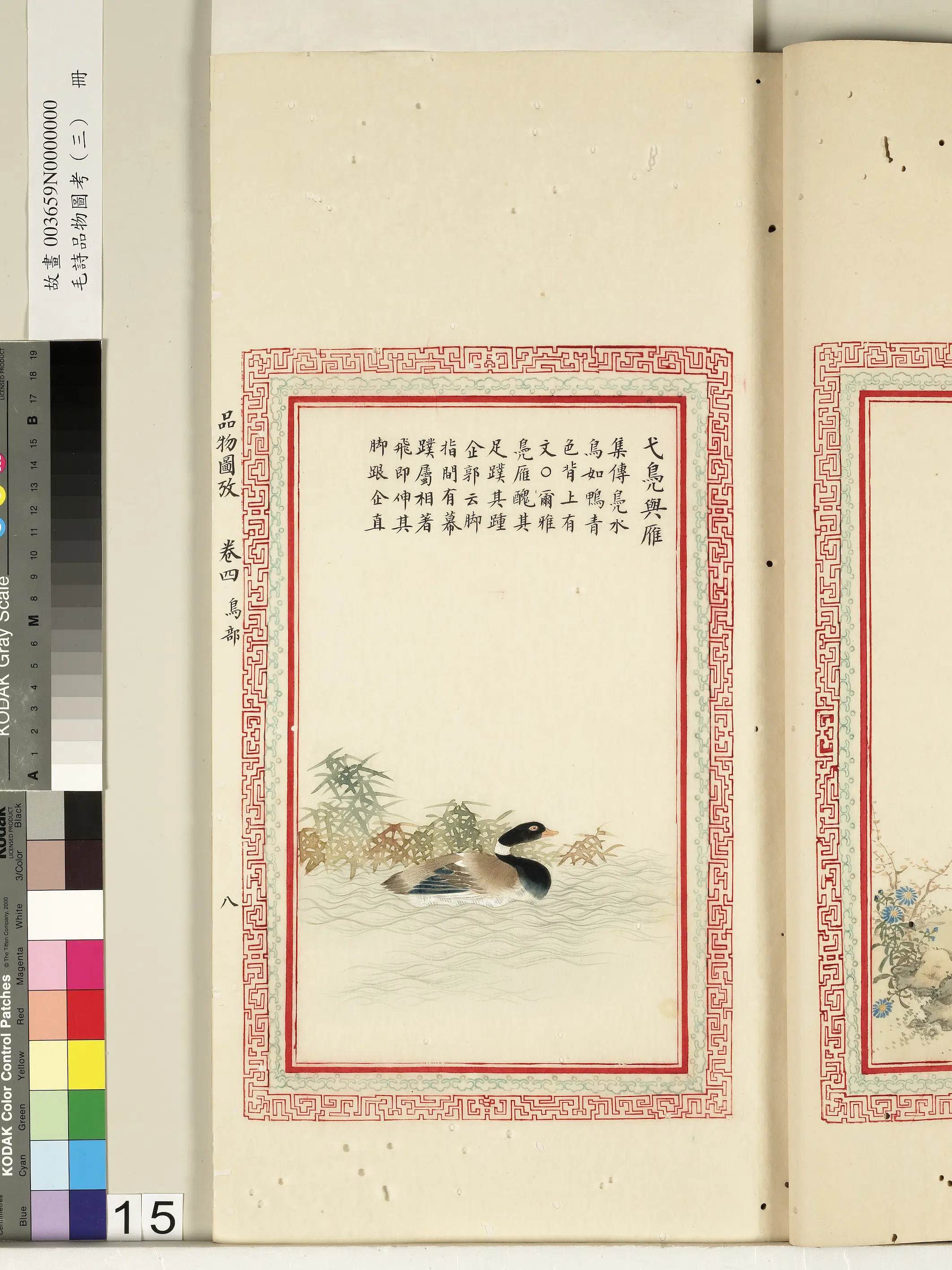 清代《毛诗品物图考(三)册-2》 第17张 清代《毛诗品物图考(三)册-2》 第17张