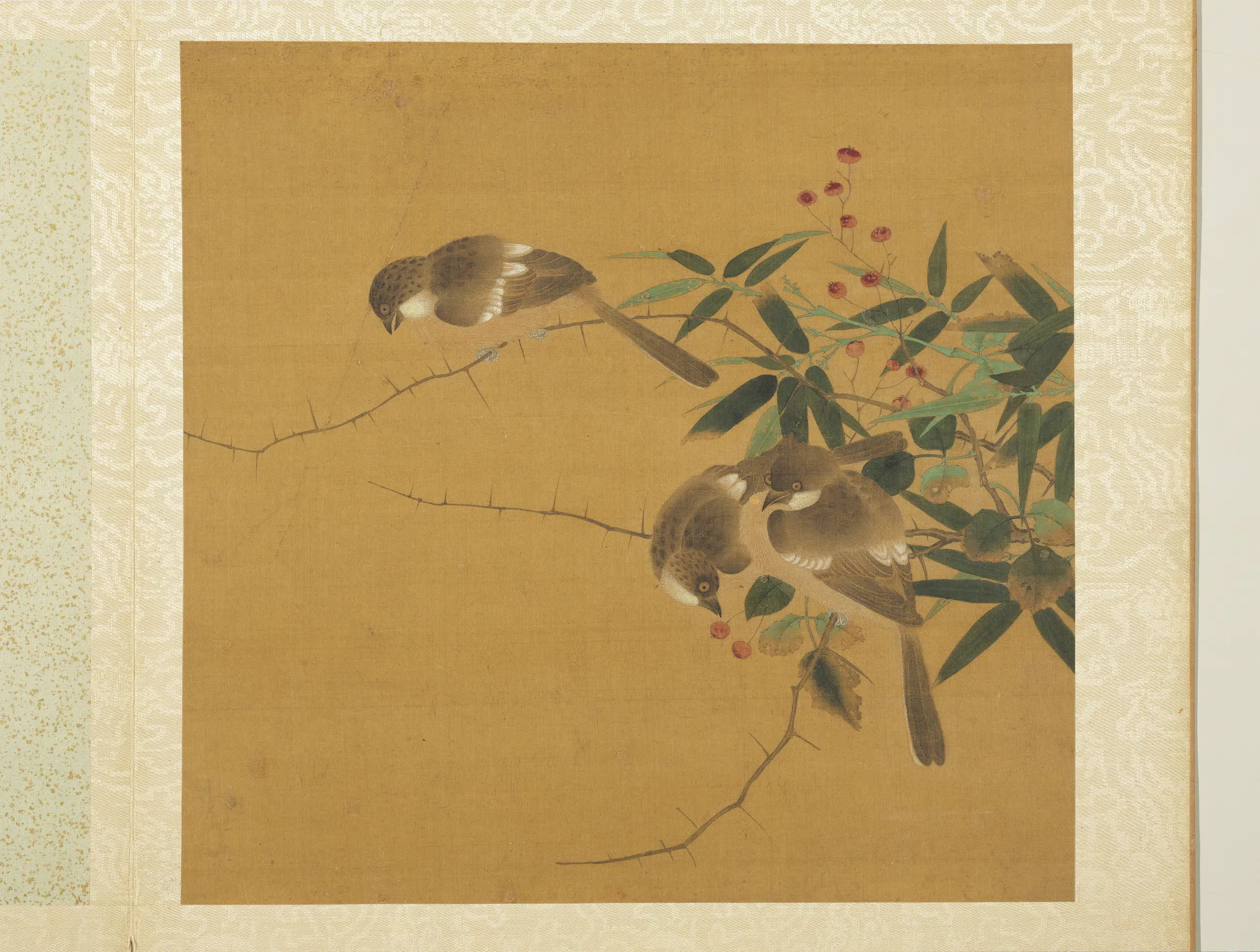 五代十国前后蜀【黄筌（荃）】《长春花鸟册》 第8张