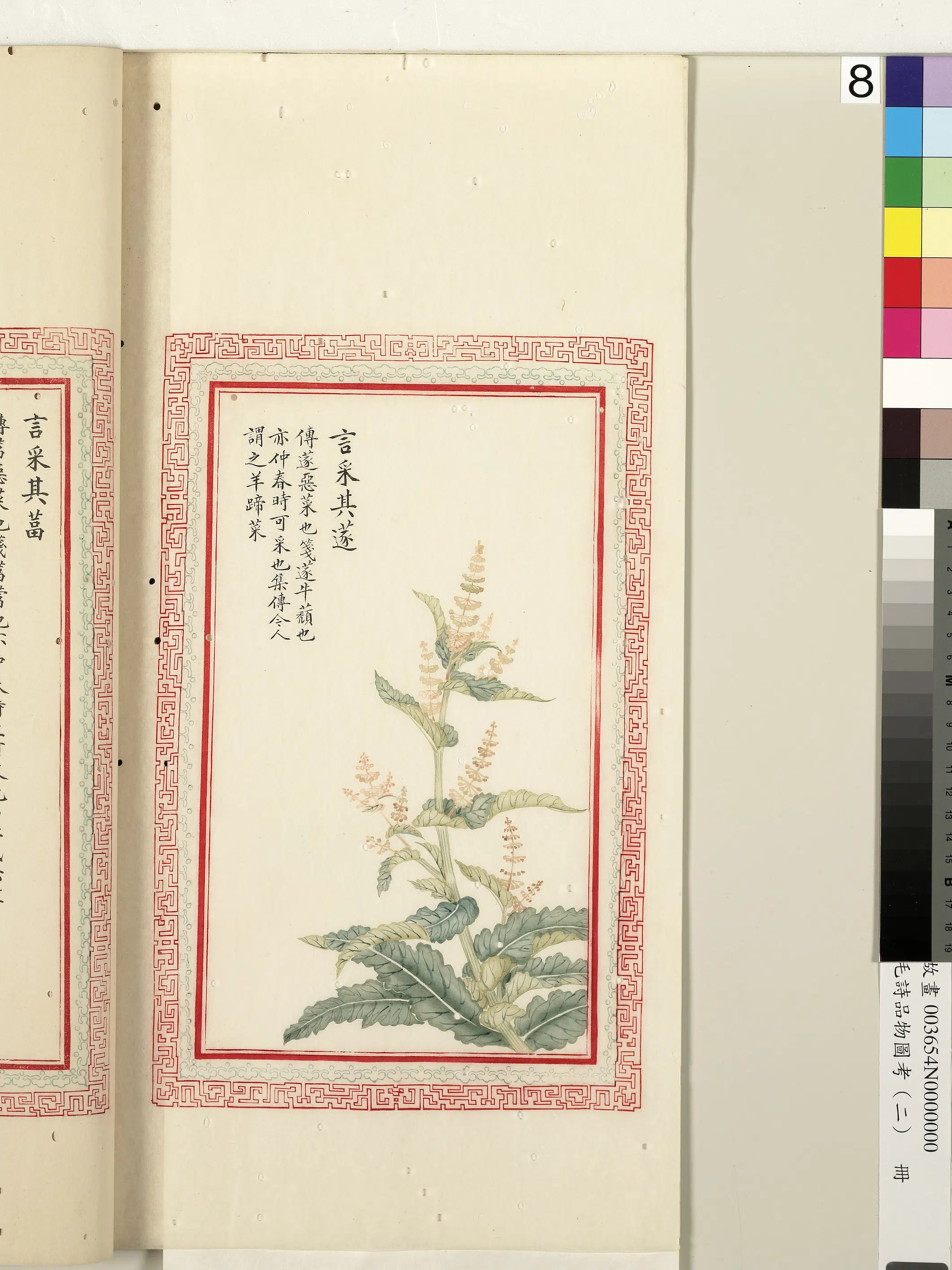 清代《毛诗品物图考(二)册-1》 第53张 清代《毛诗品物图考(二)册-1》 第53张