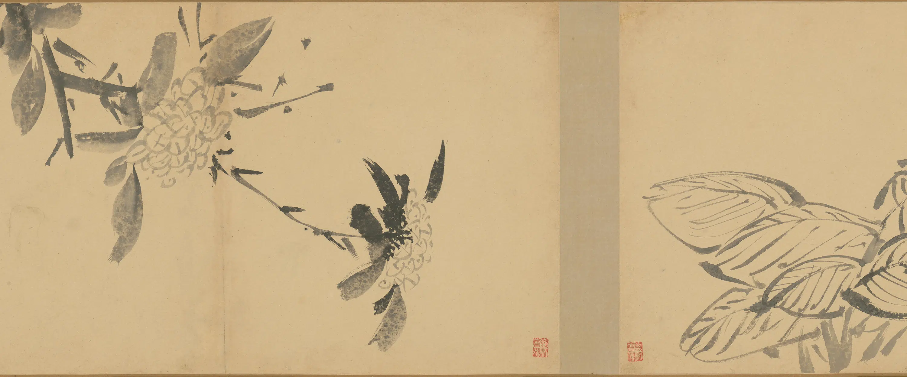 明朝【徐渭】《墨花卷》 第6张