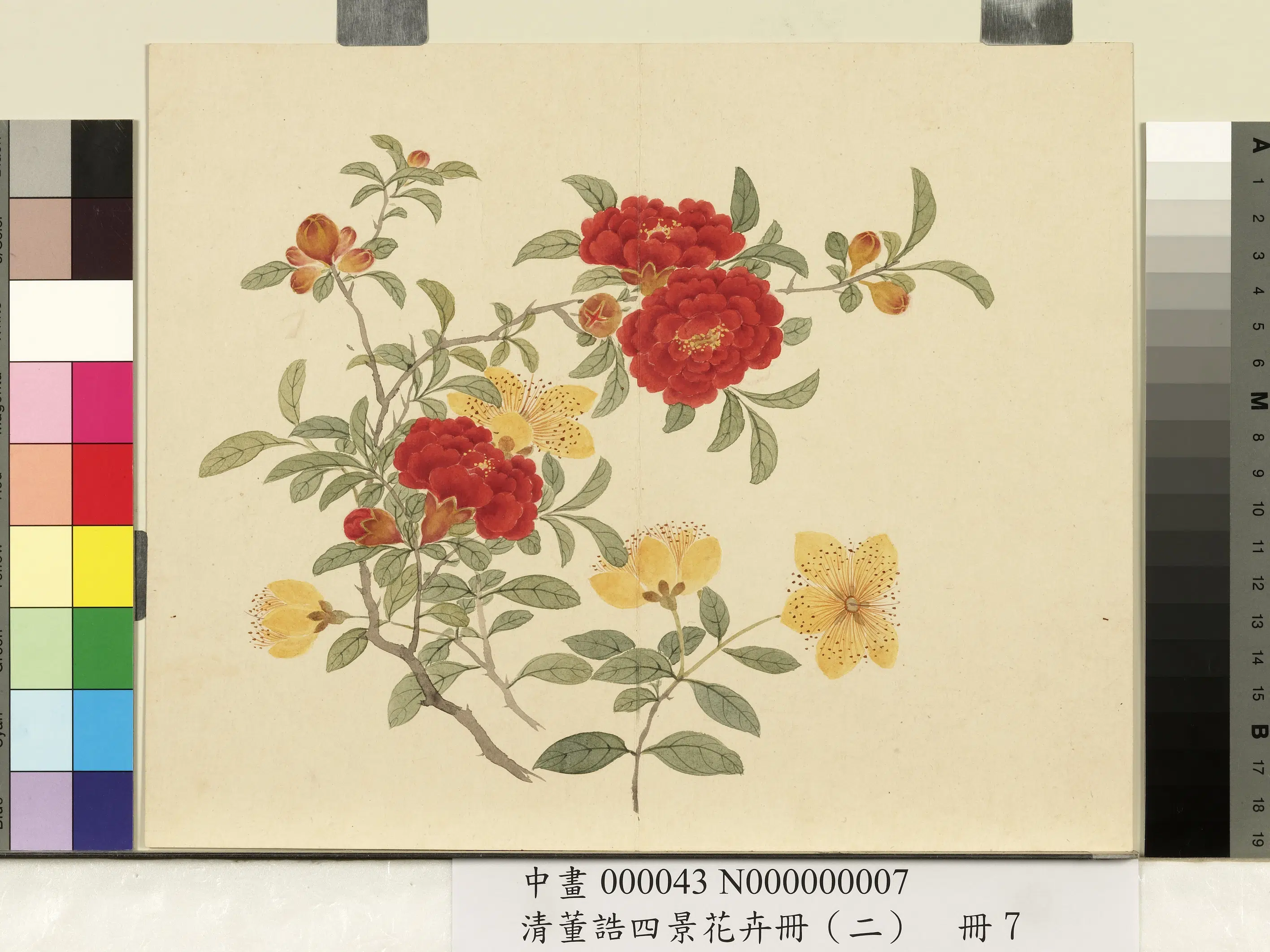 清代【董诰】《四景花卉册(二)册》 第2张 清代【董诰】《四景花卉册(二)册》 第2张