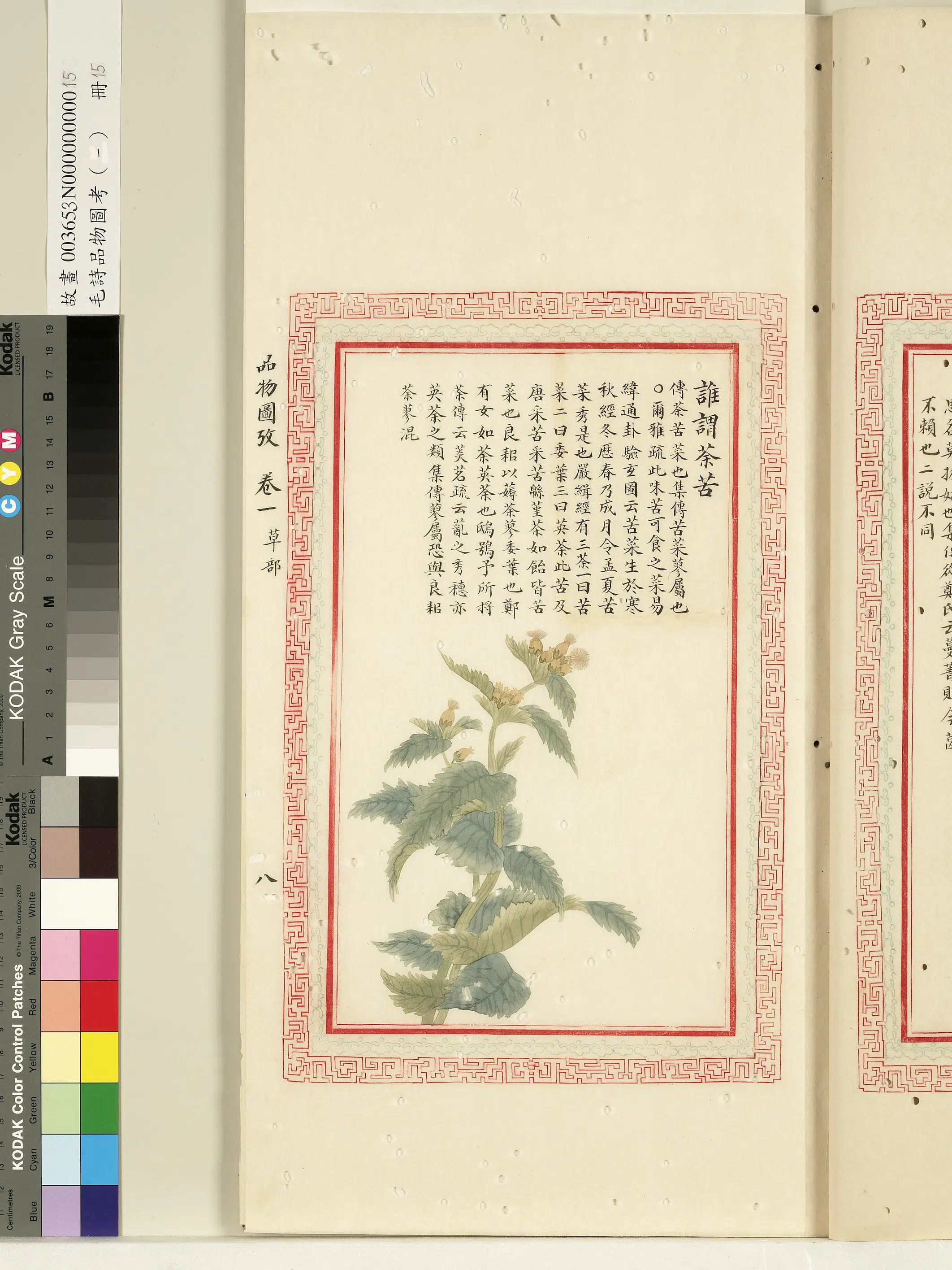 清朝【佚名】《毛诗品物图考（一）册-谁谓荼苦-1》