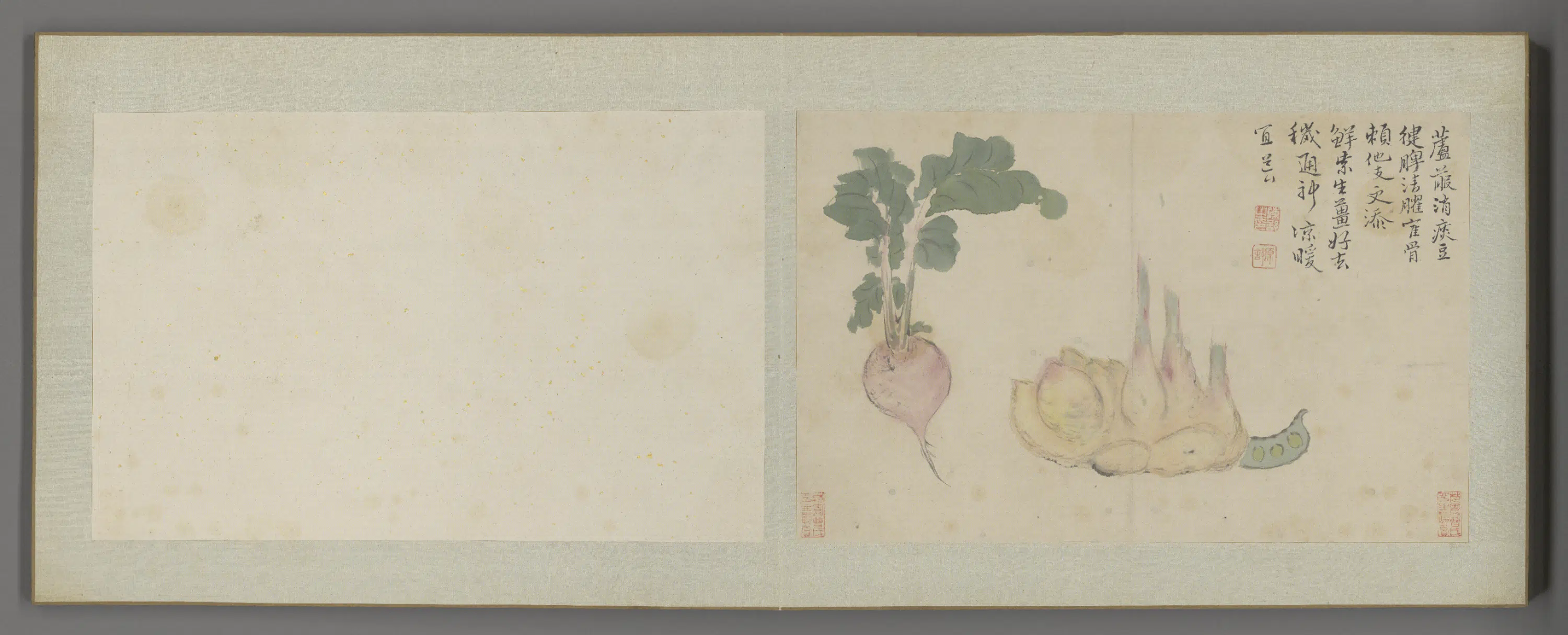 清代【陈舒】《花卉册（12开）》 第3张