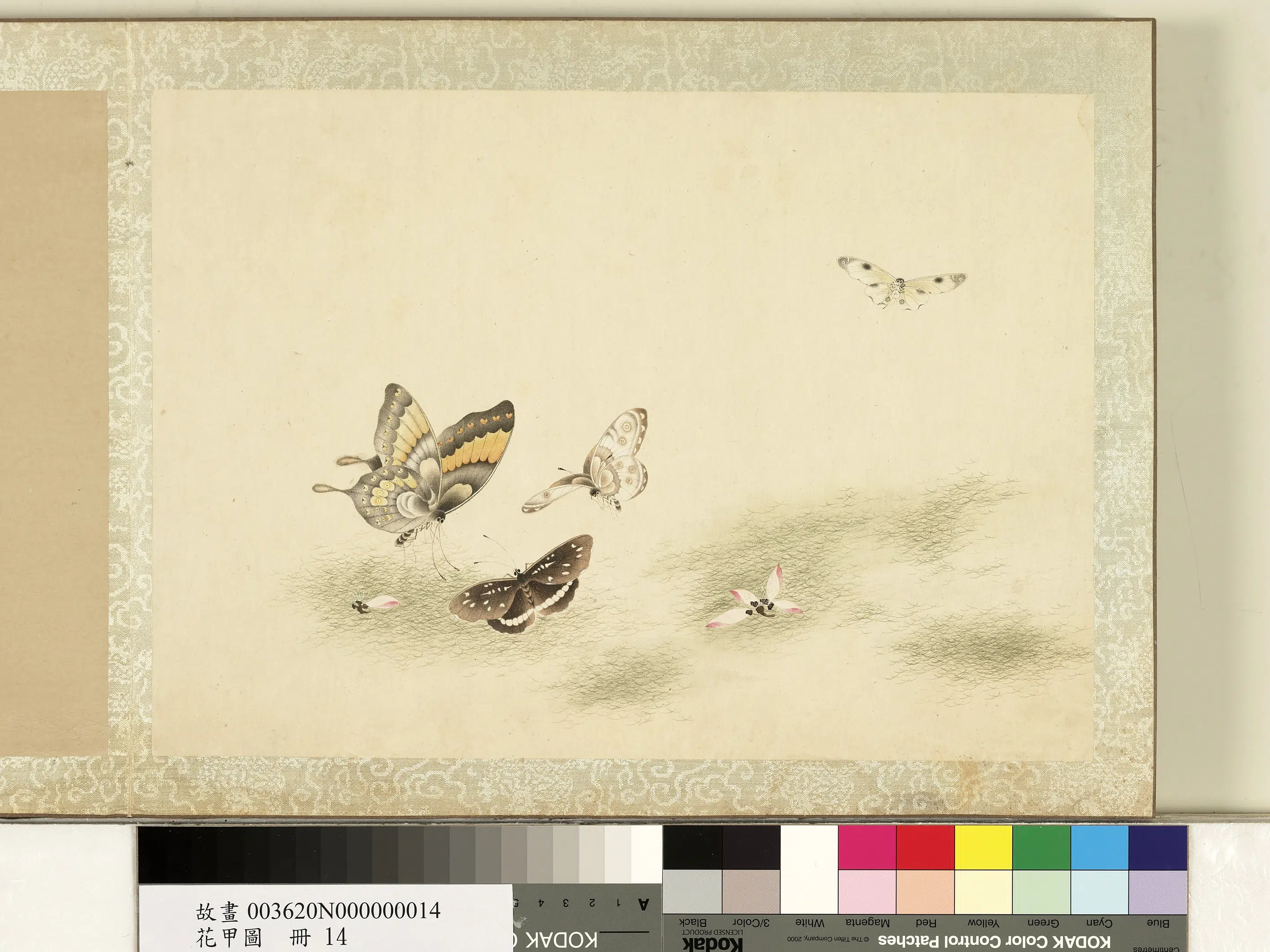 《花甲图册》 第17张 《花甲图册》 第17张