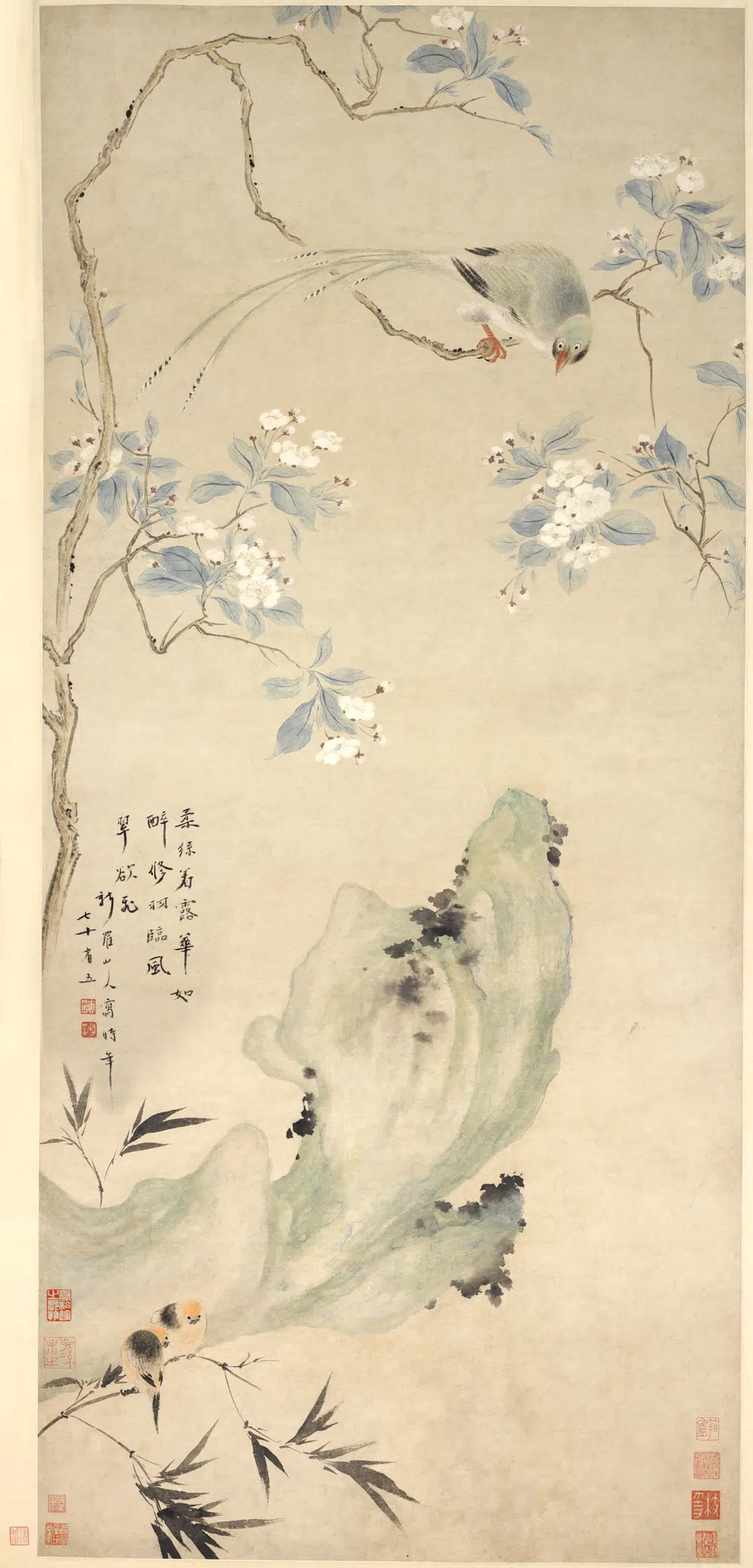 清代【华喦（华岩)】《海棠绶带图轴》