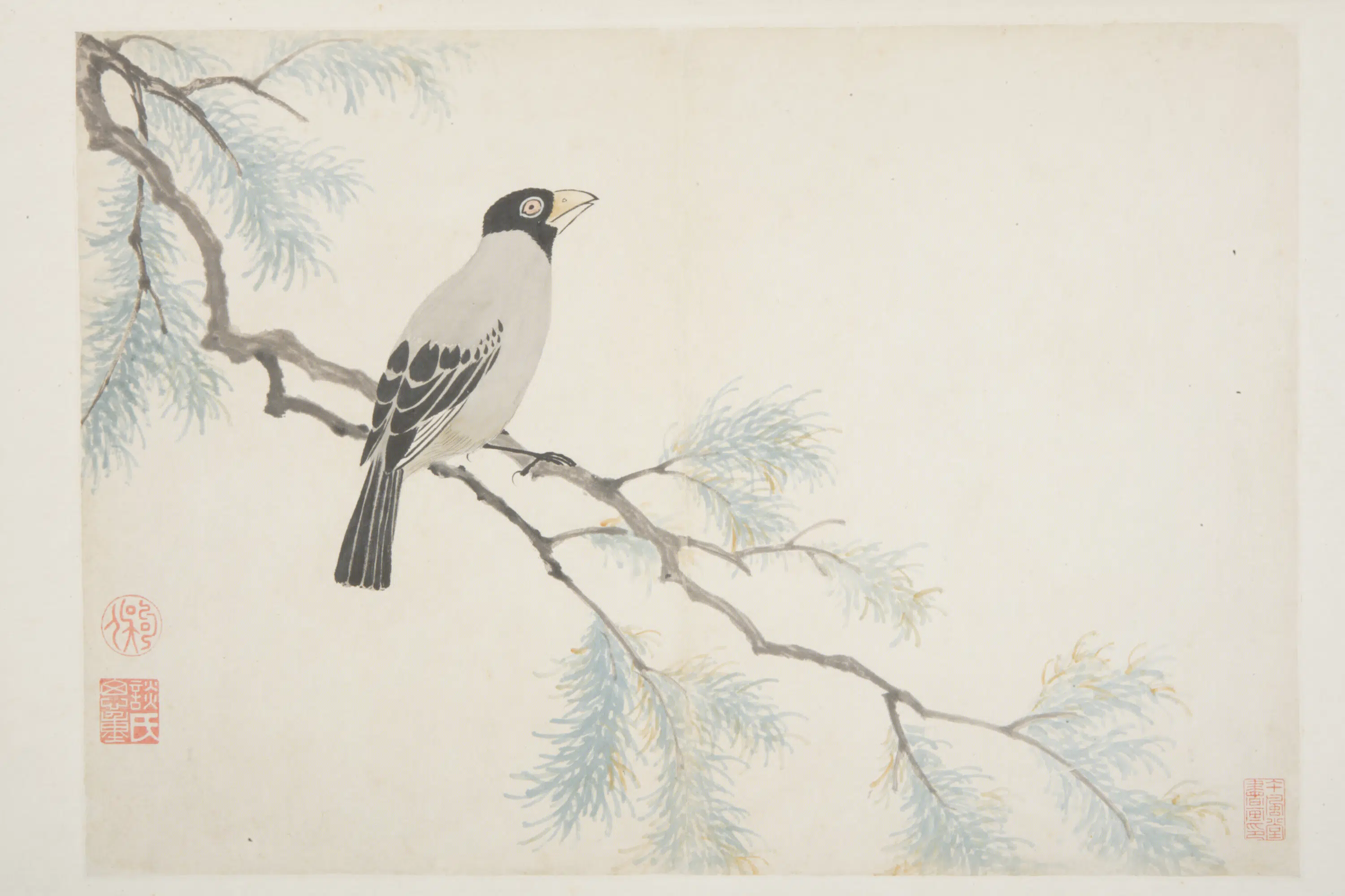 明朝【谈志伊】《花鸟册》 第14张