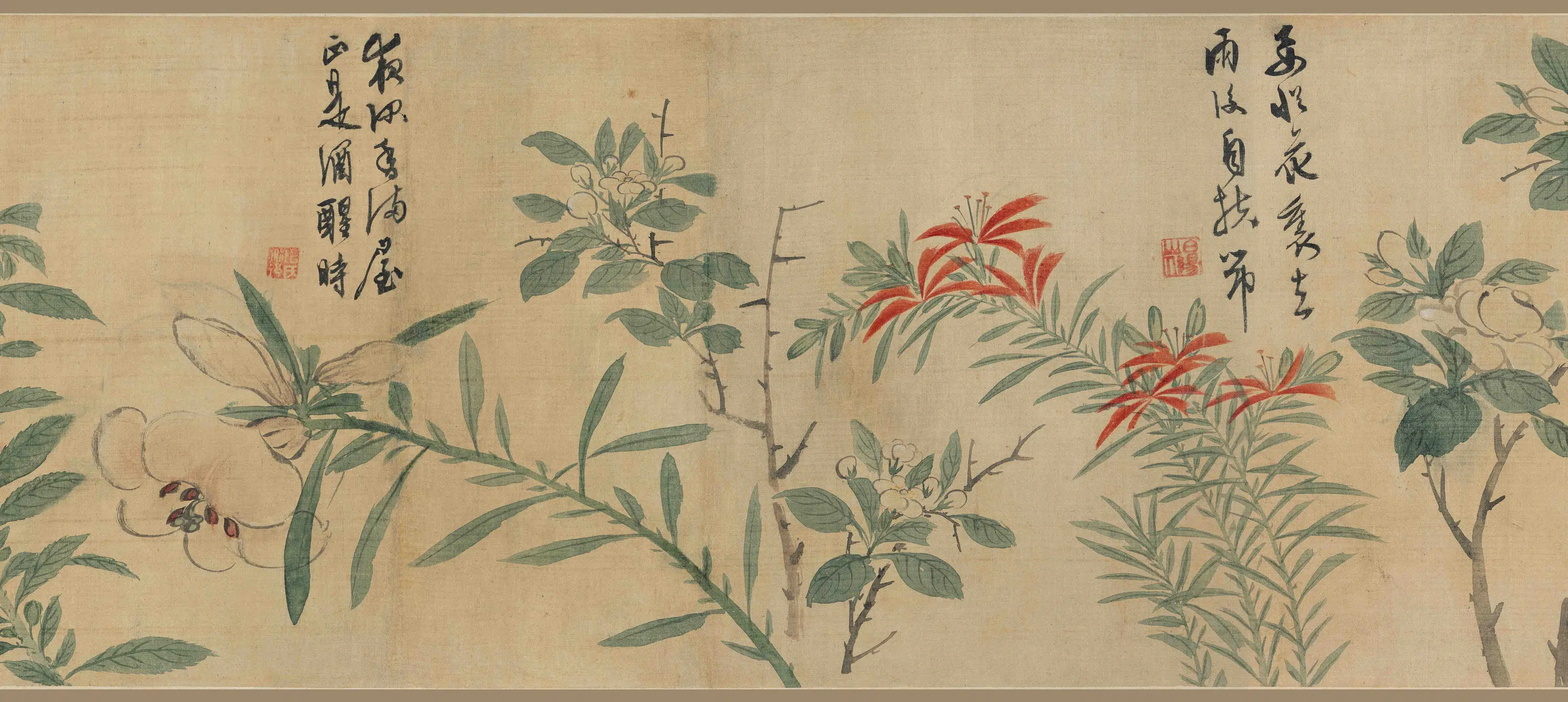 明朝【陈淳(道复)】《花卉图卷-3》 第4张 明朝【陈淳(道复)】《花卉图卷-3》 第4张