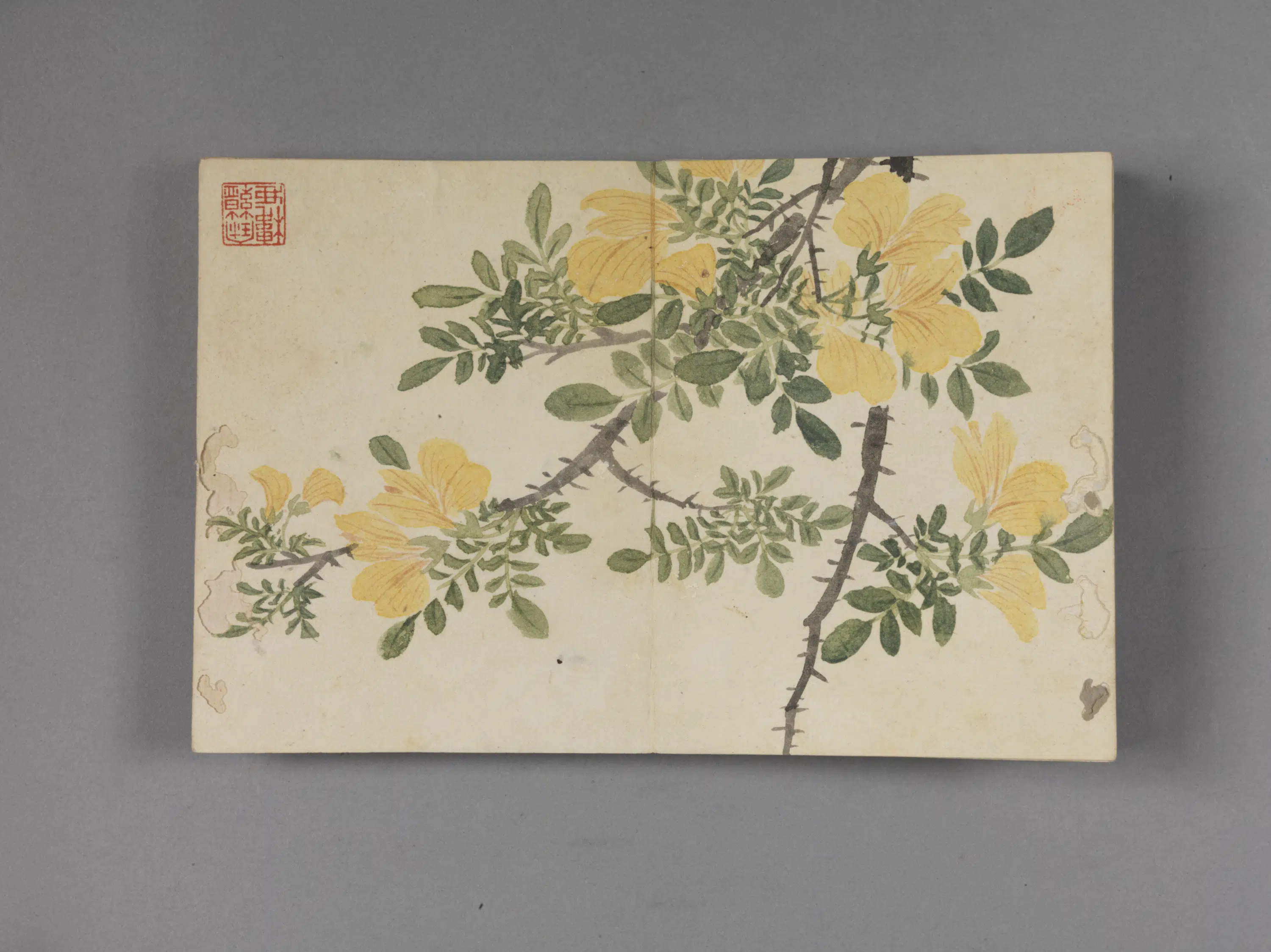清代【董诰】《花卉图册（8开）》 第1张