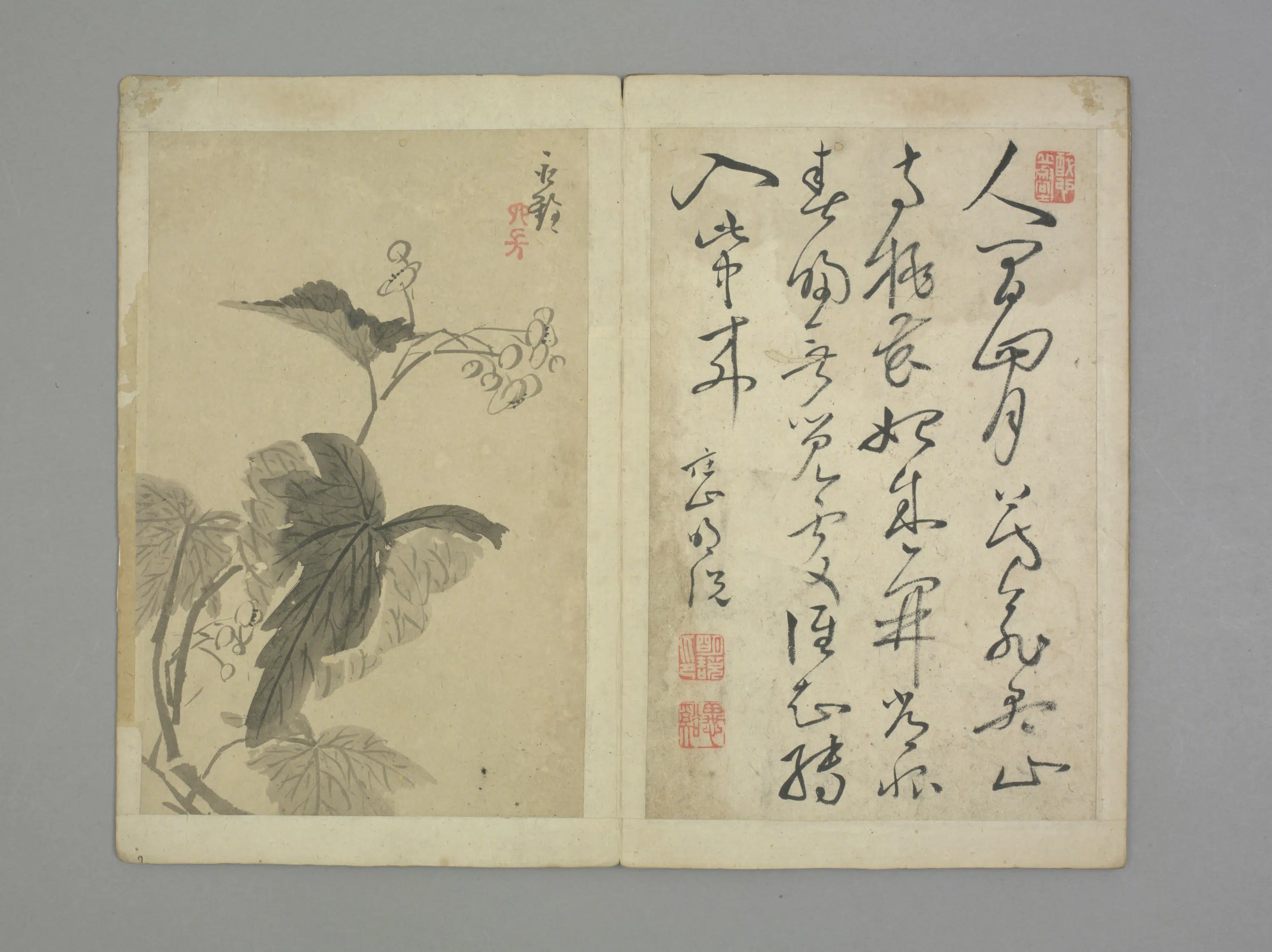 清代【永铨】《清初十四家书画集锦册-花卉册页》 第1张