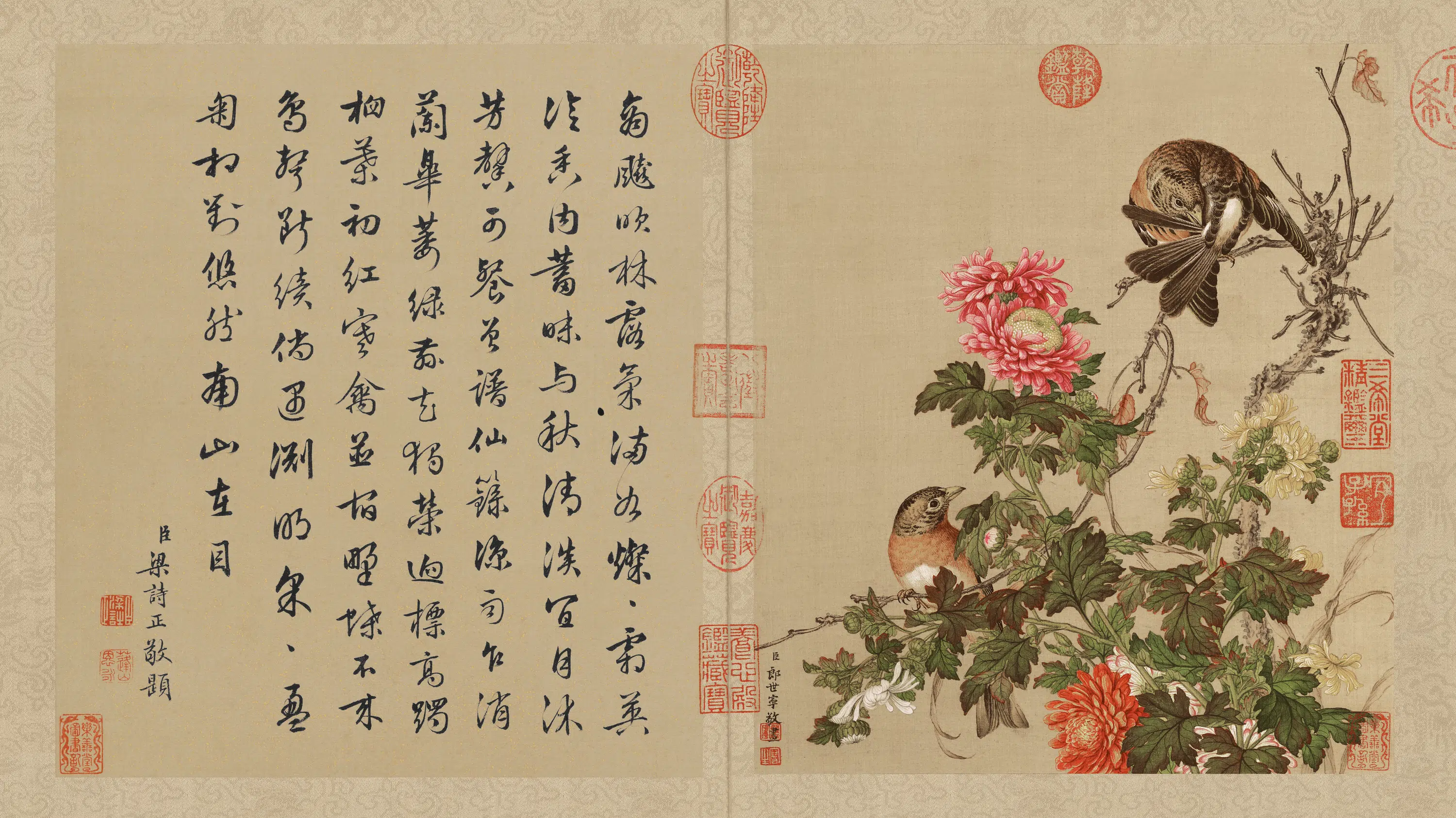 清代【郎世宁】《花鸟册页(10开)》 第4张 清代【郎世宁】《花鸟册页(10开)》 第4张